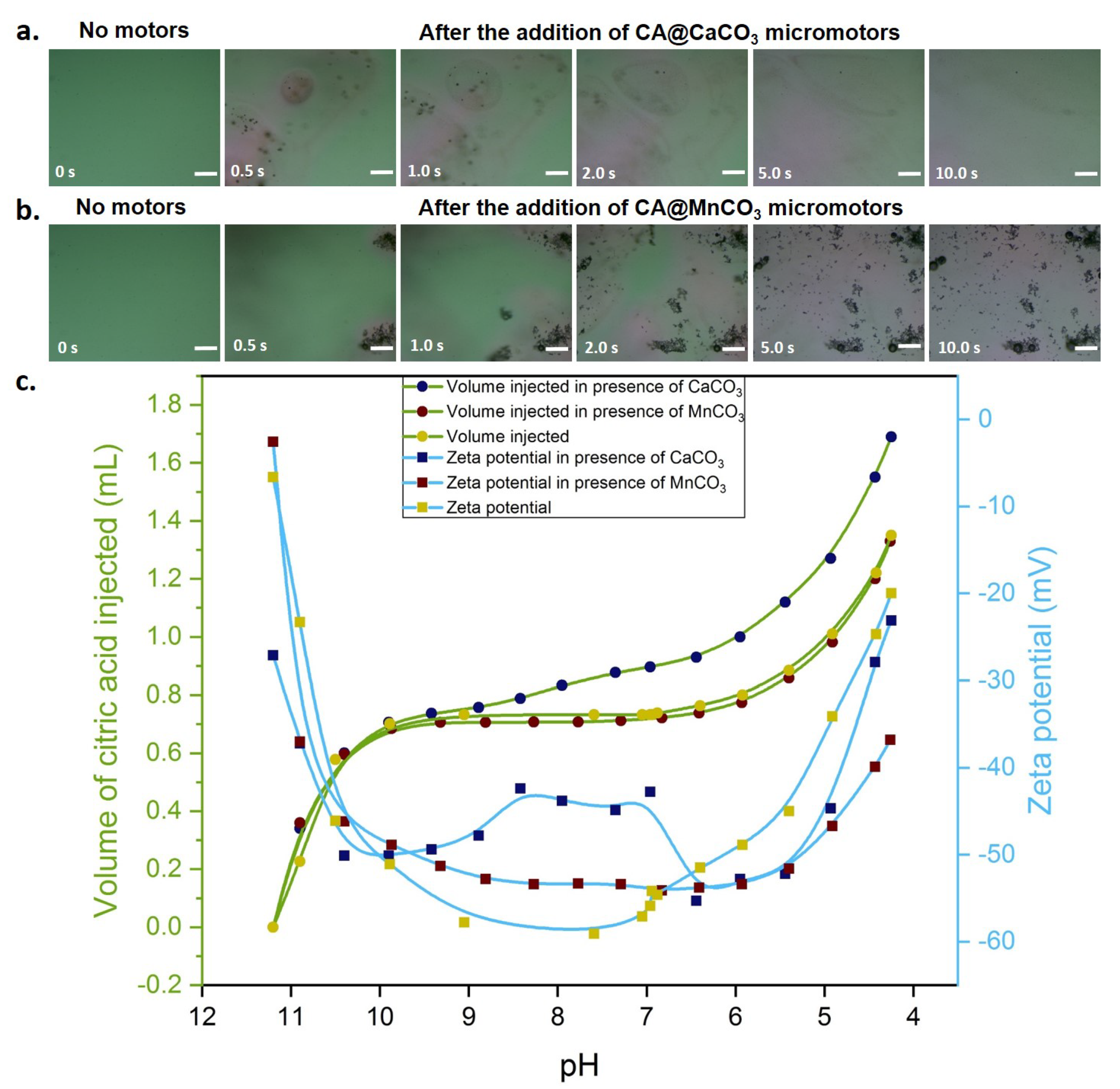Nanomaterials 10 01408 g006 Nanomaterials 10 01408 g006