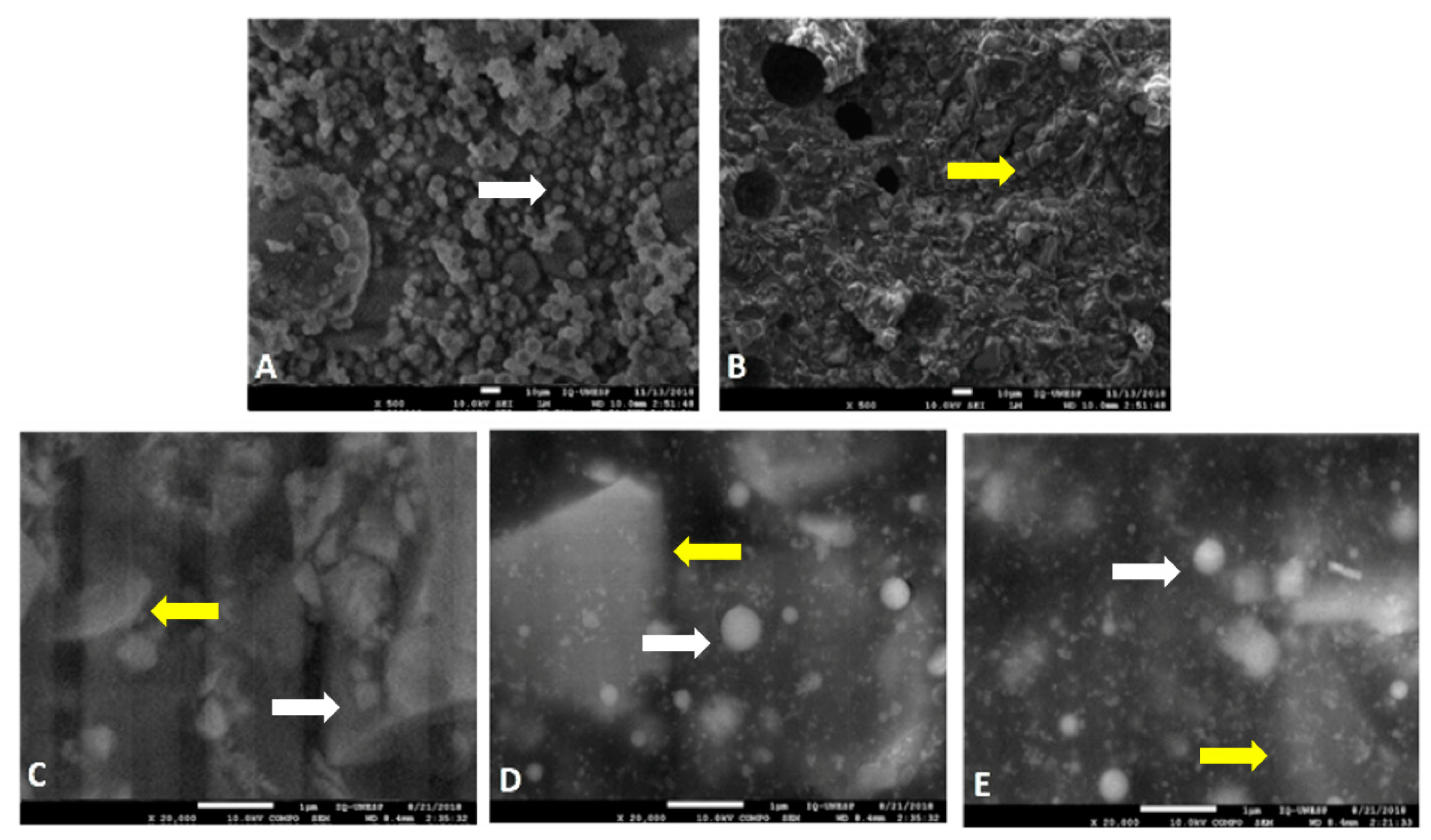 Nanomaterials 10 01412 g001
