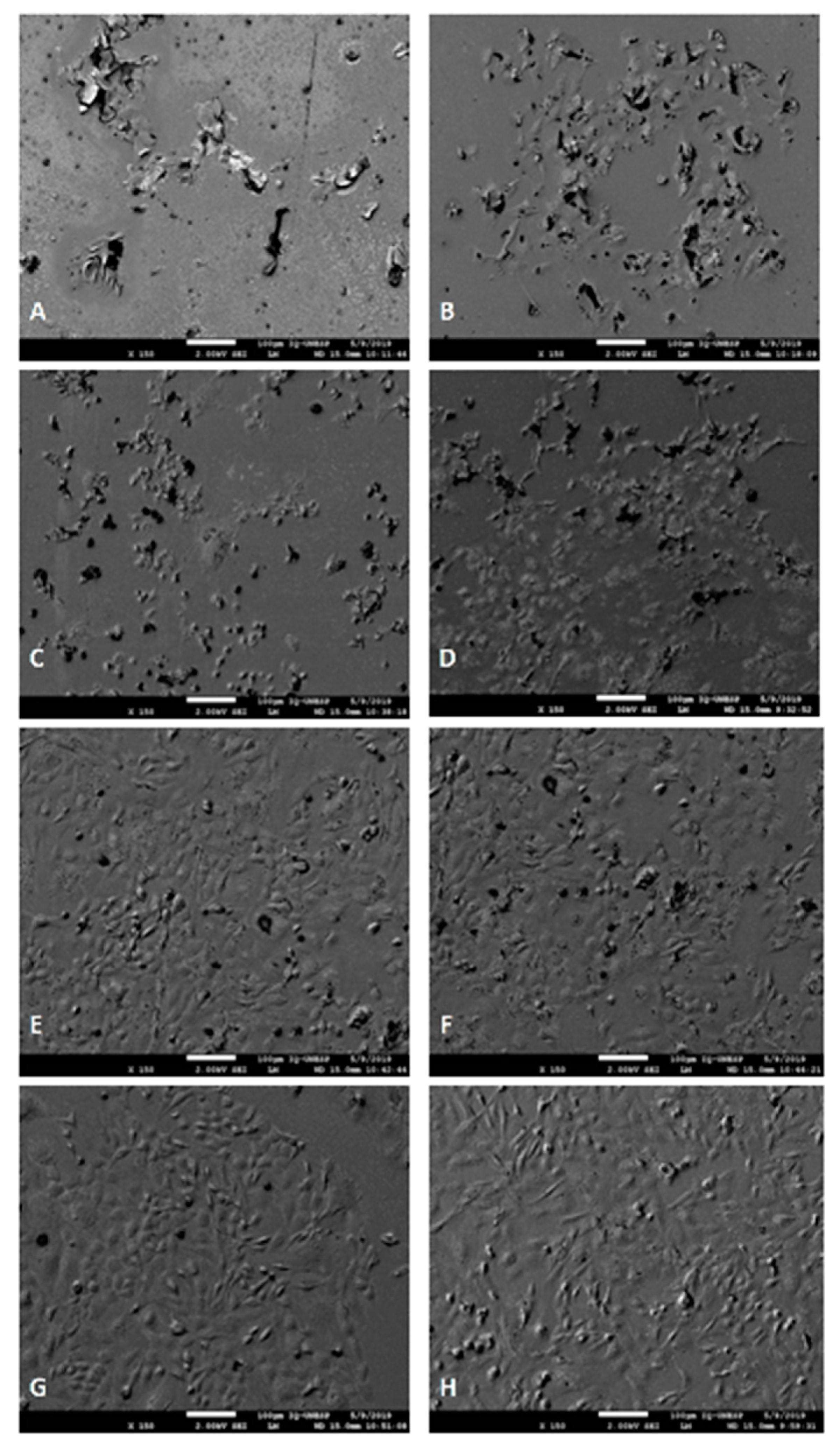 Nanomaterials 10 01412 g007