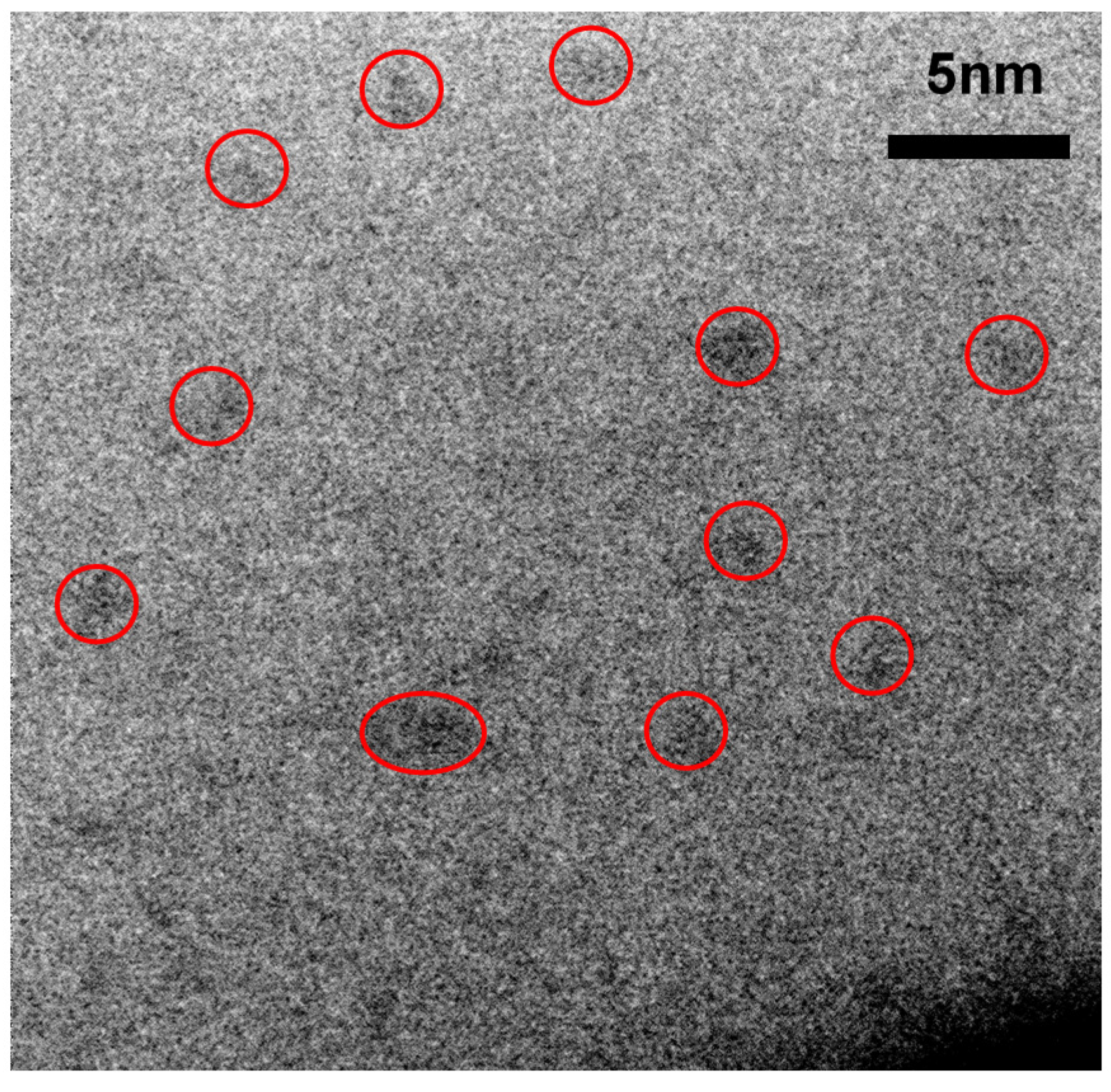 Nanomaterials 10 01415 g016
