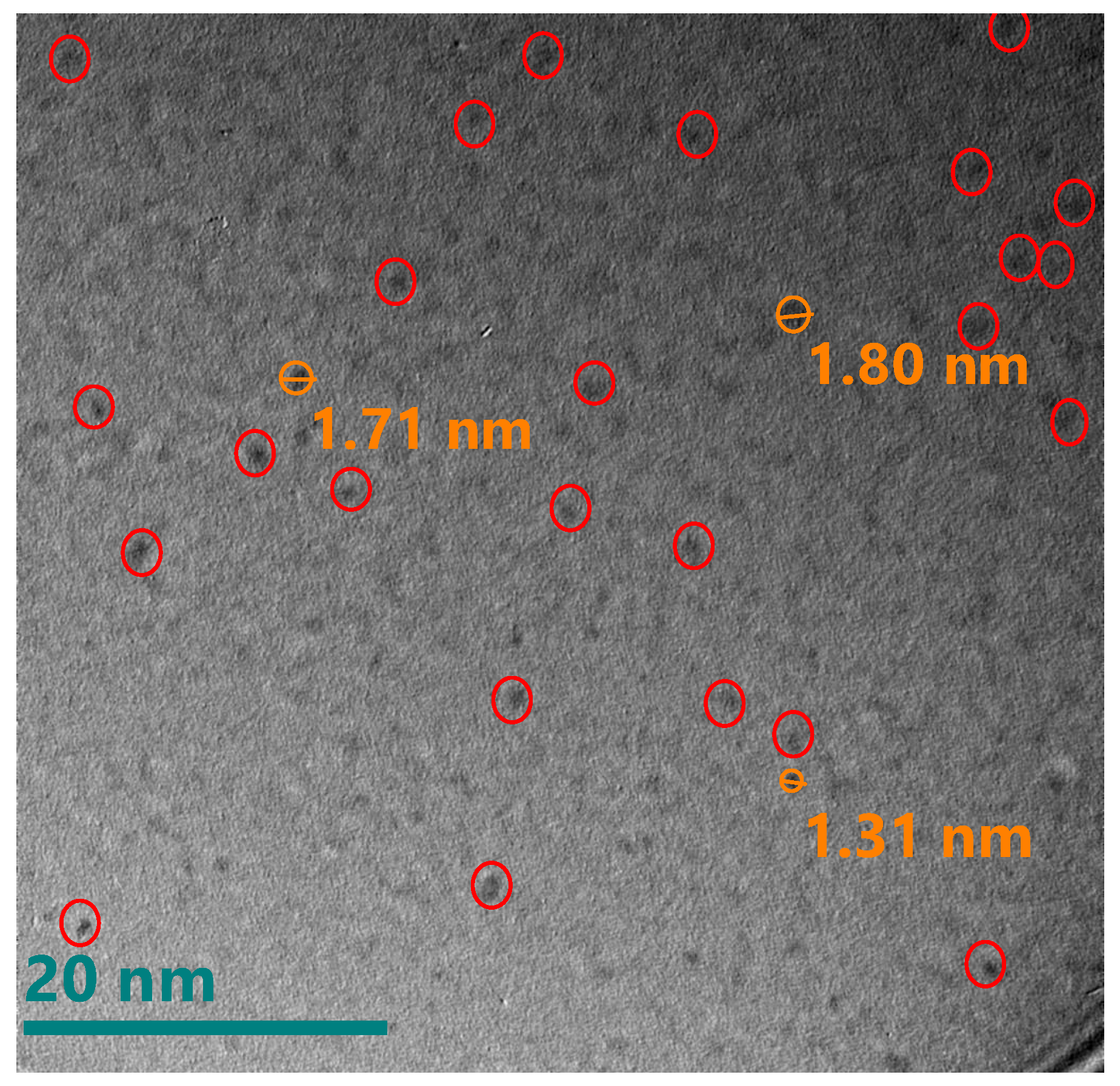 Nanomaterials 10 01415 g017