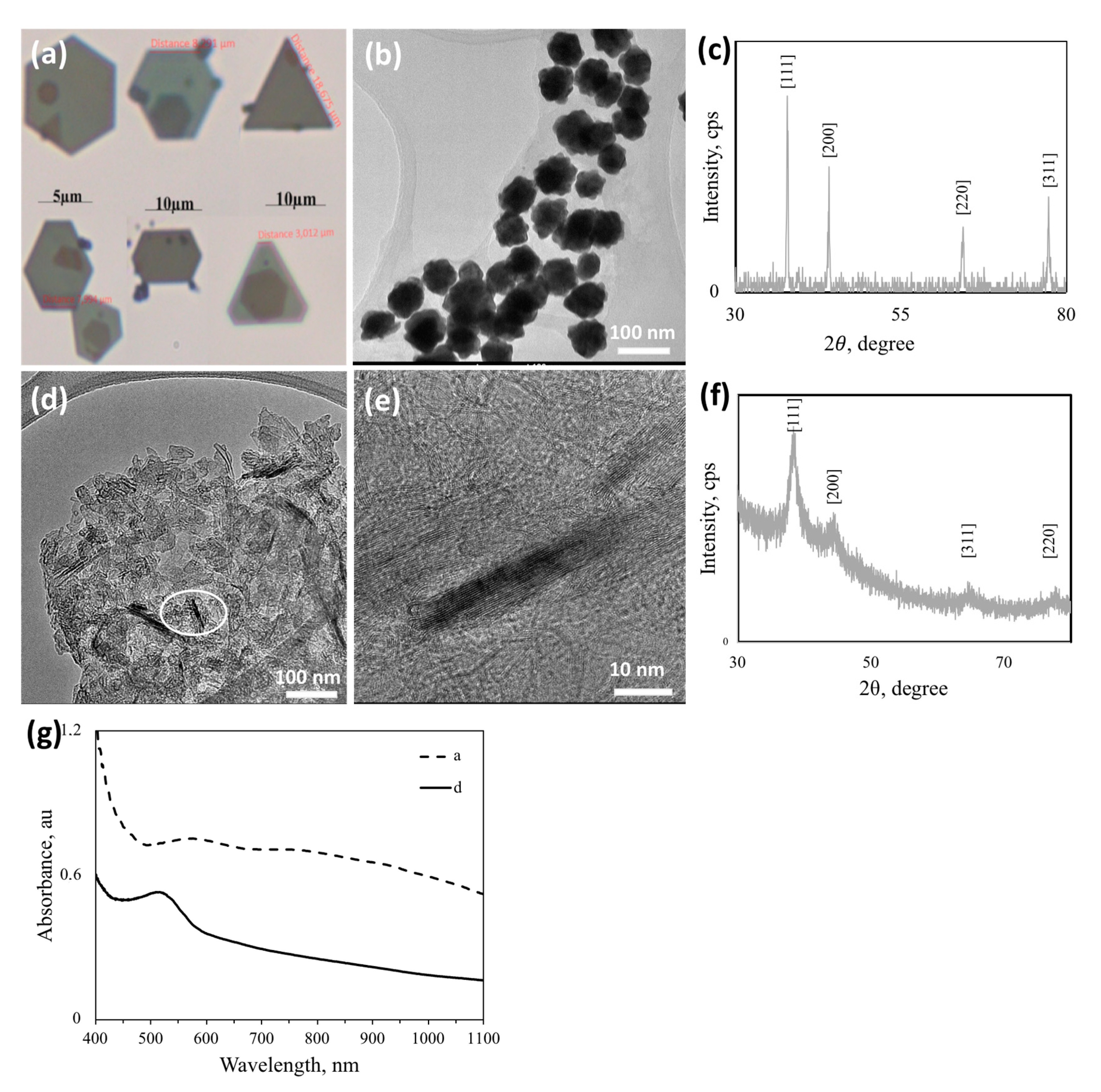 Nanomaterials 10 01417 g009