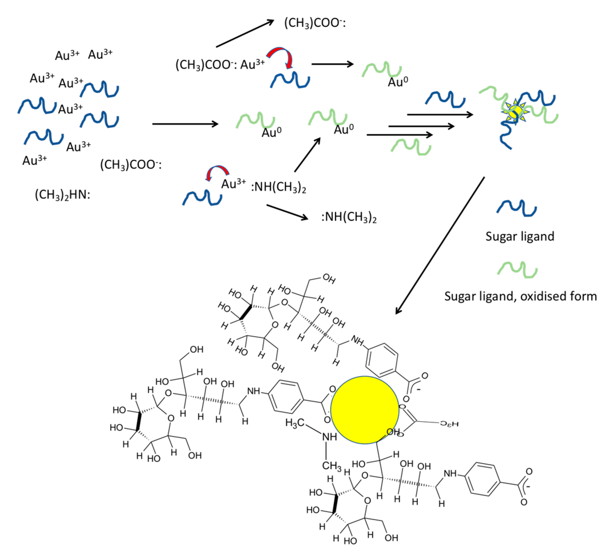 Nanomaterials 10 01417 g011