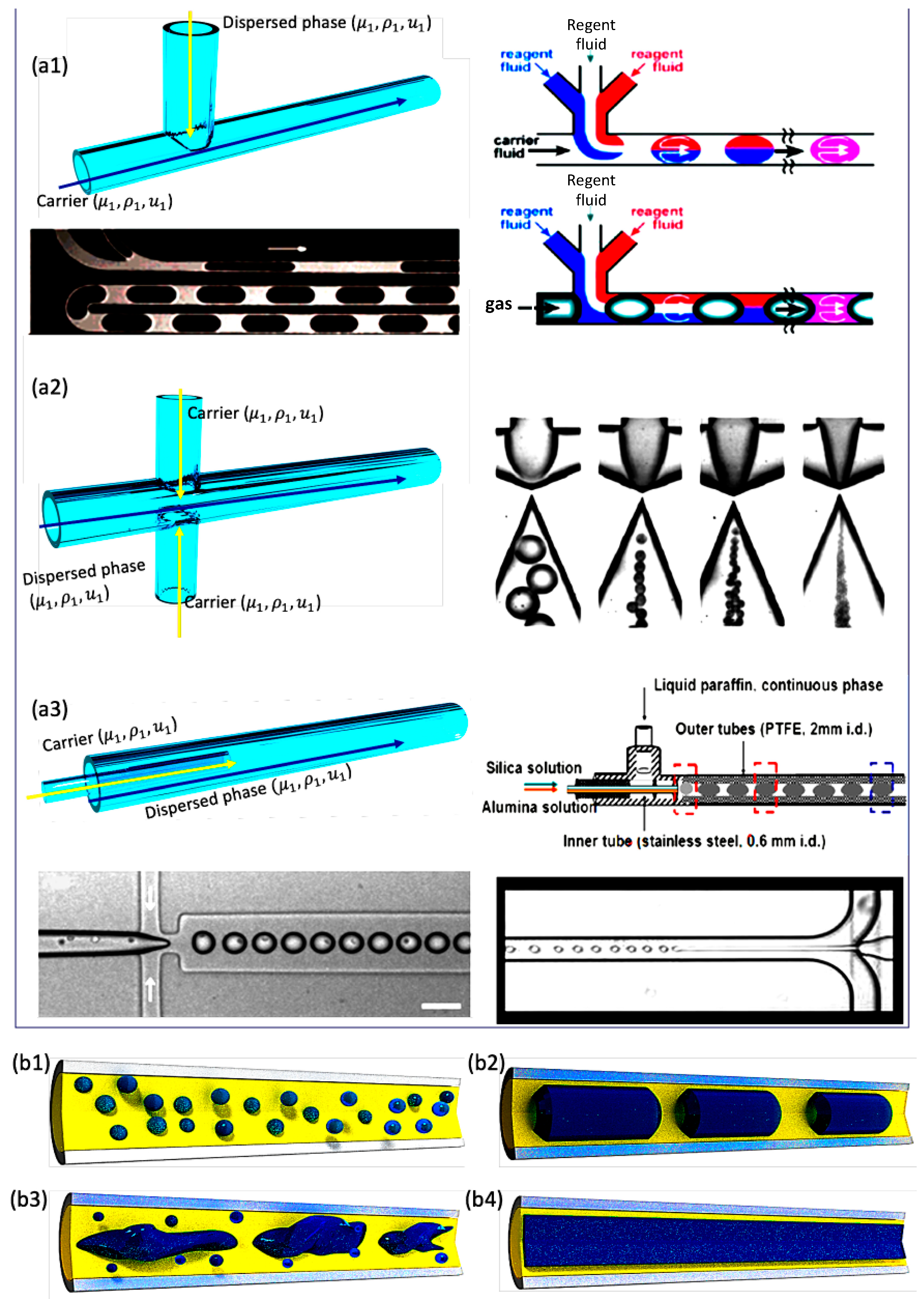 Nanomaterials 10 01421 g001