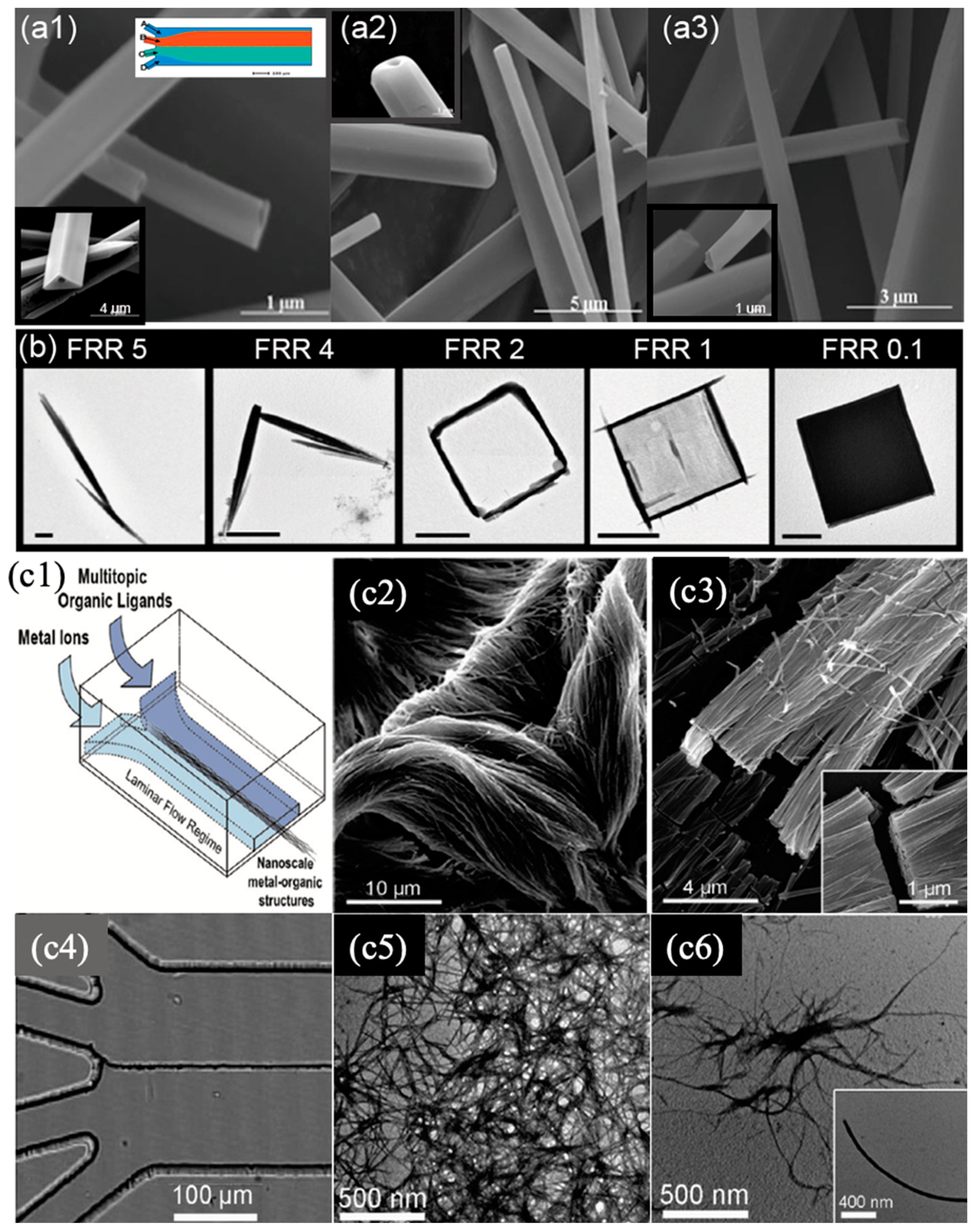 Nanomaterials 10 01421 g008