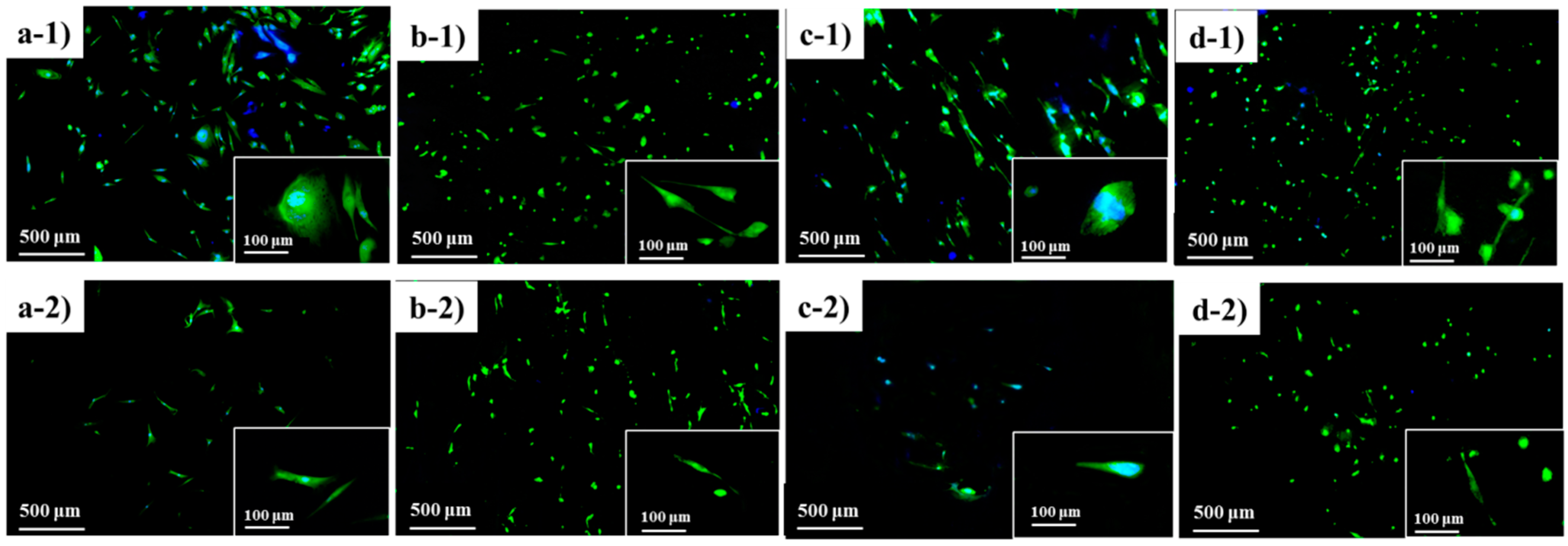 Nanomaterials 10 01427 g009