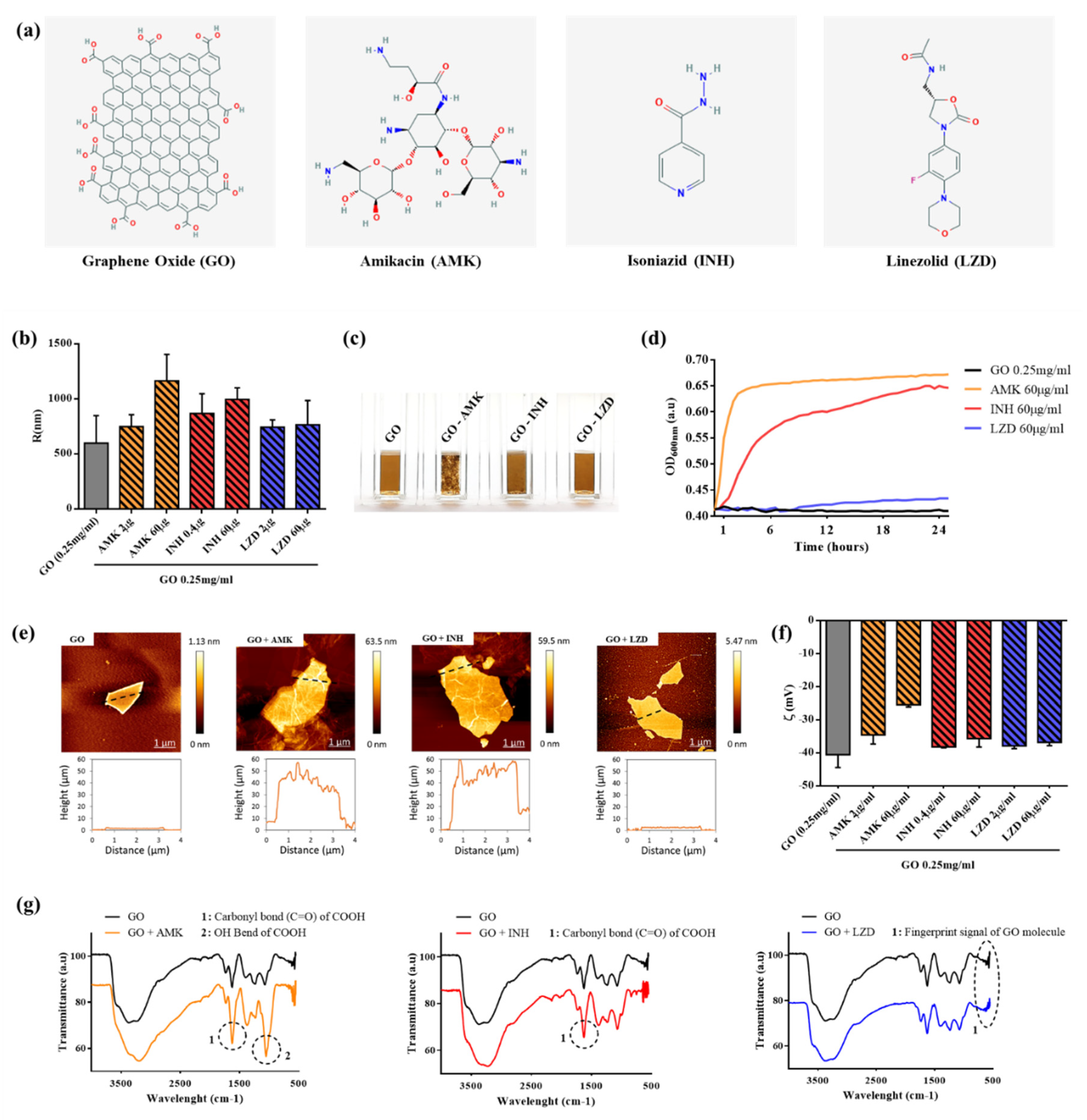 Nanomaterials 10 01431 g001