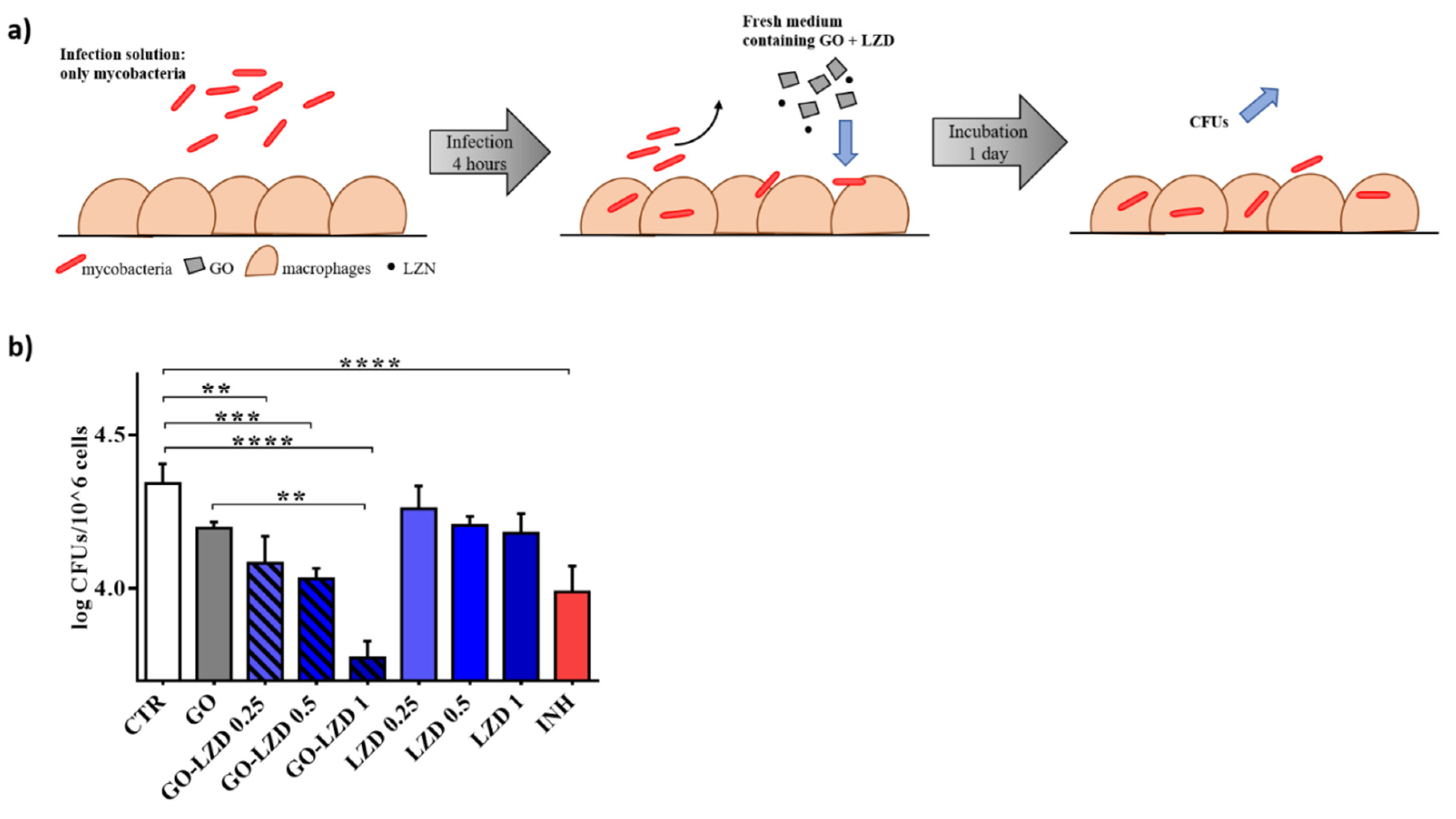 Nanomaterials 10 01431 g005
