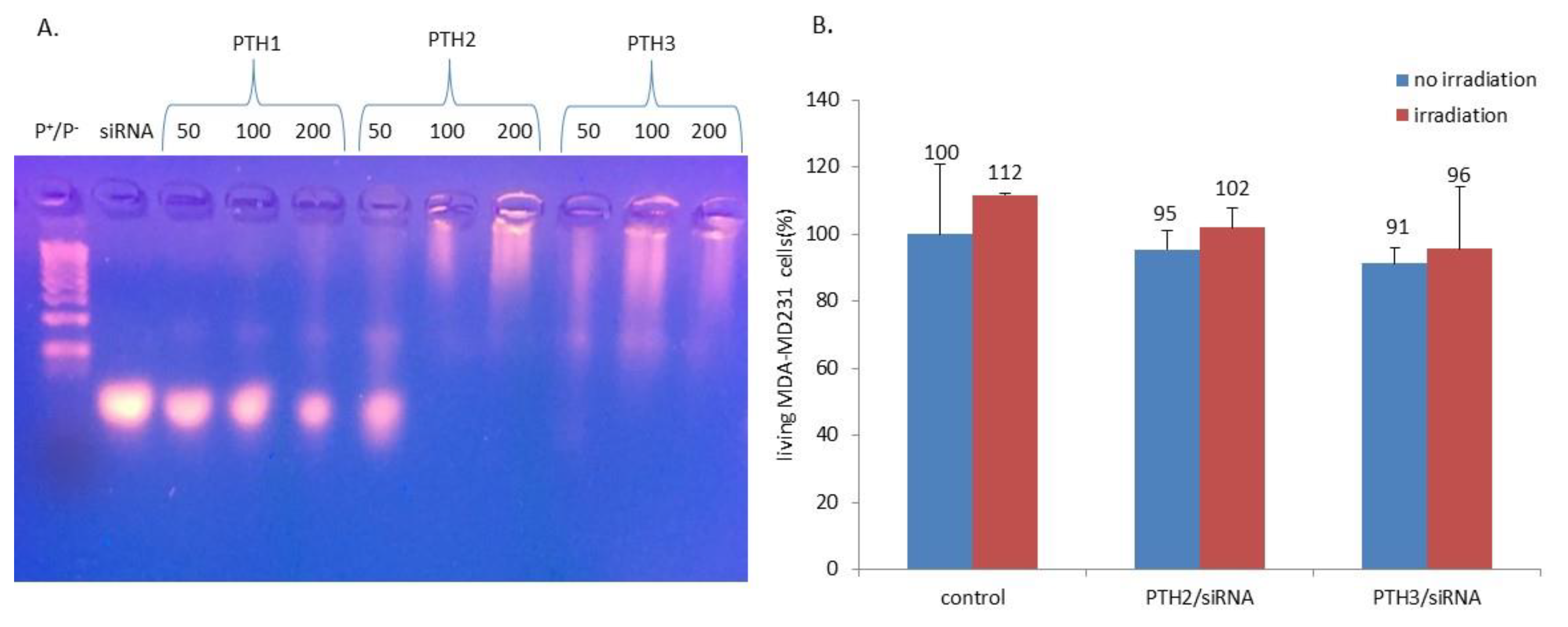 Nanomaterials 10 01432 g003
