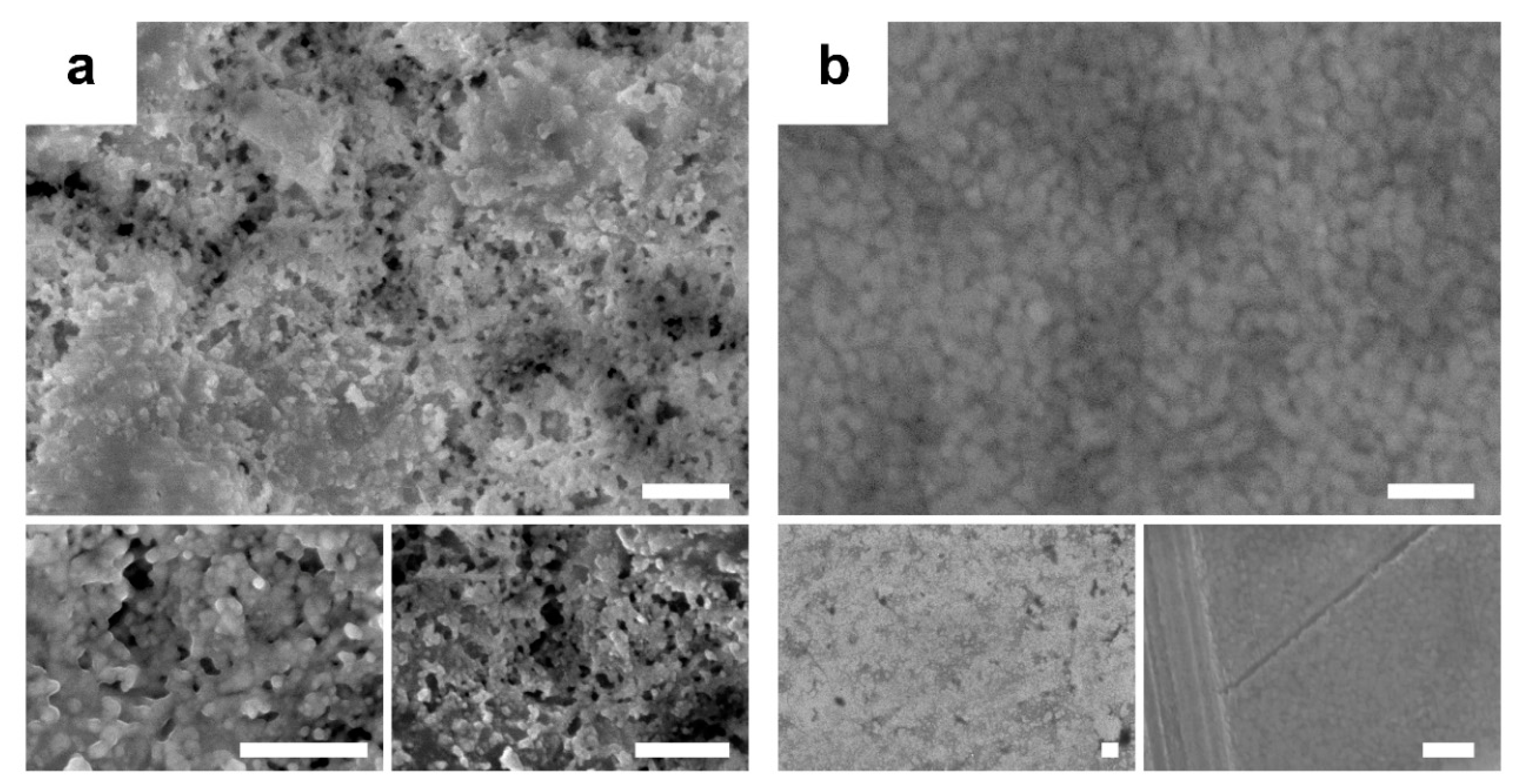 Nanomaterials 10 01435 g002