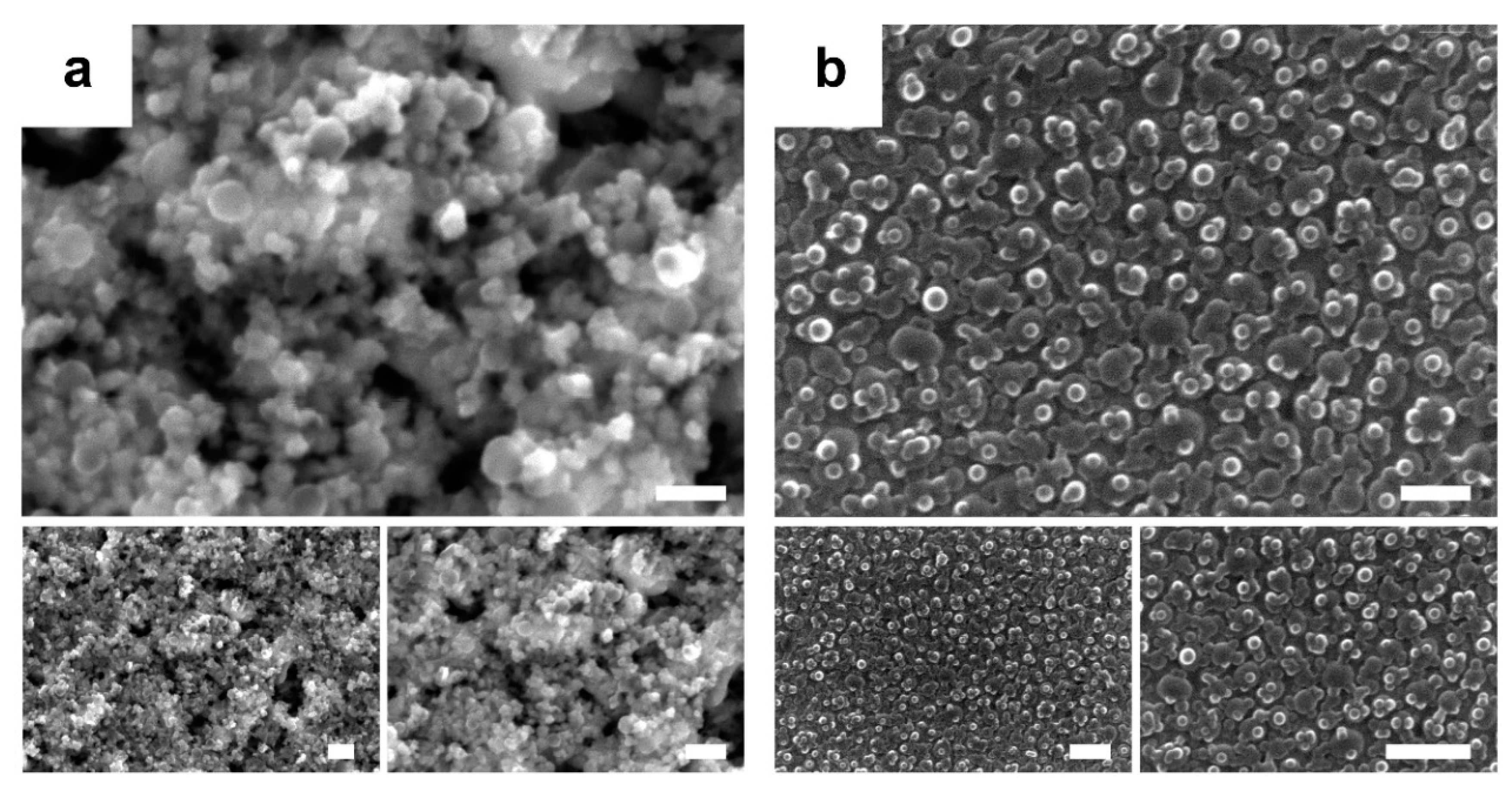 Nanomaterials 10 01435 g003