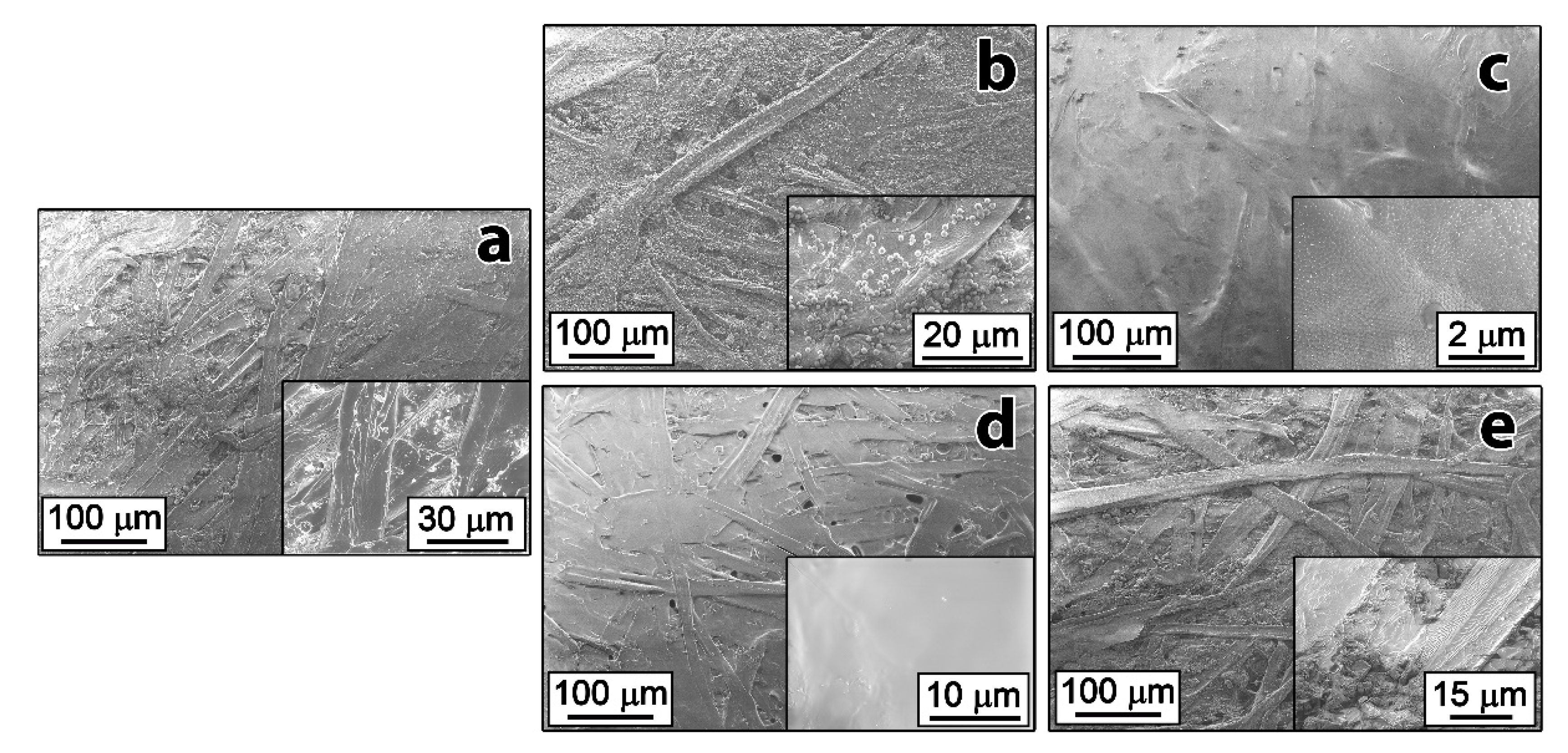 Nanomaterials 10 01436 g002