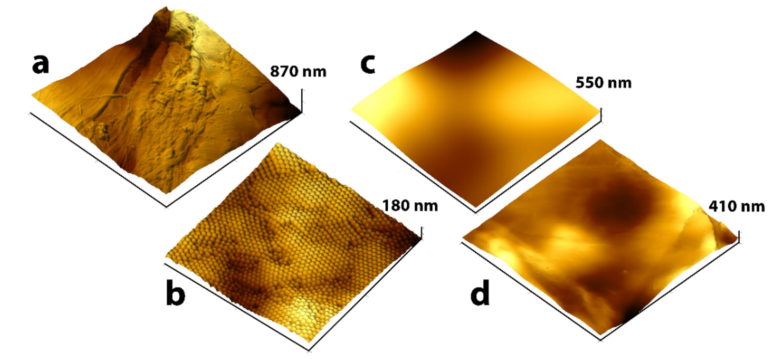 Nanomaterials 10 01436 g003