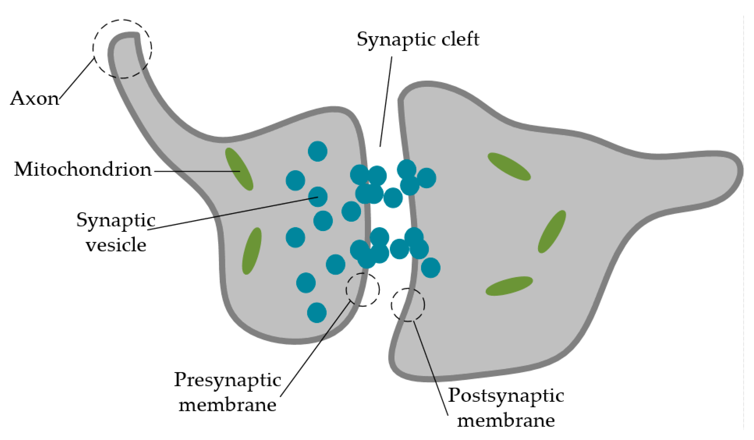 Nanomaterials 10 01437 g011 Nanomaterials 10 01437 g011