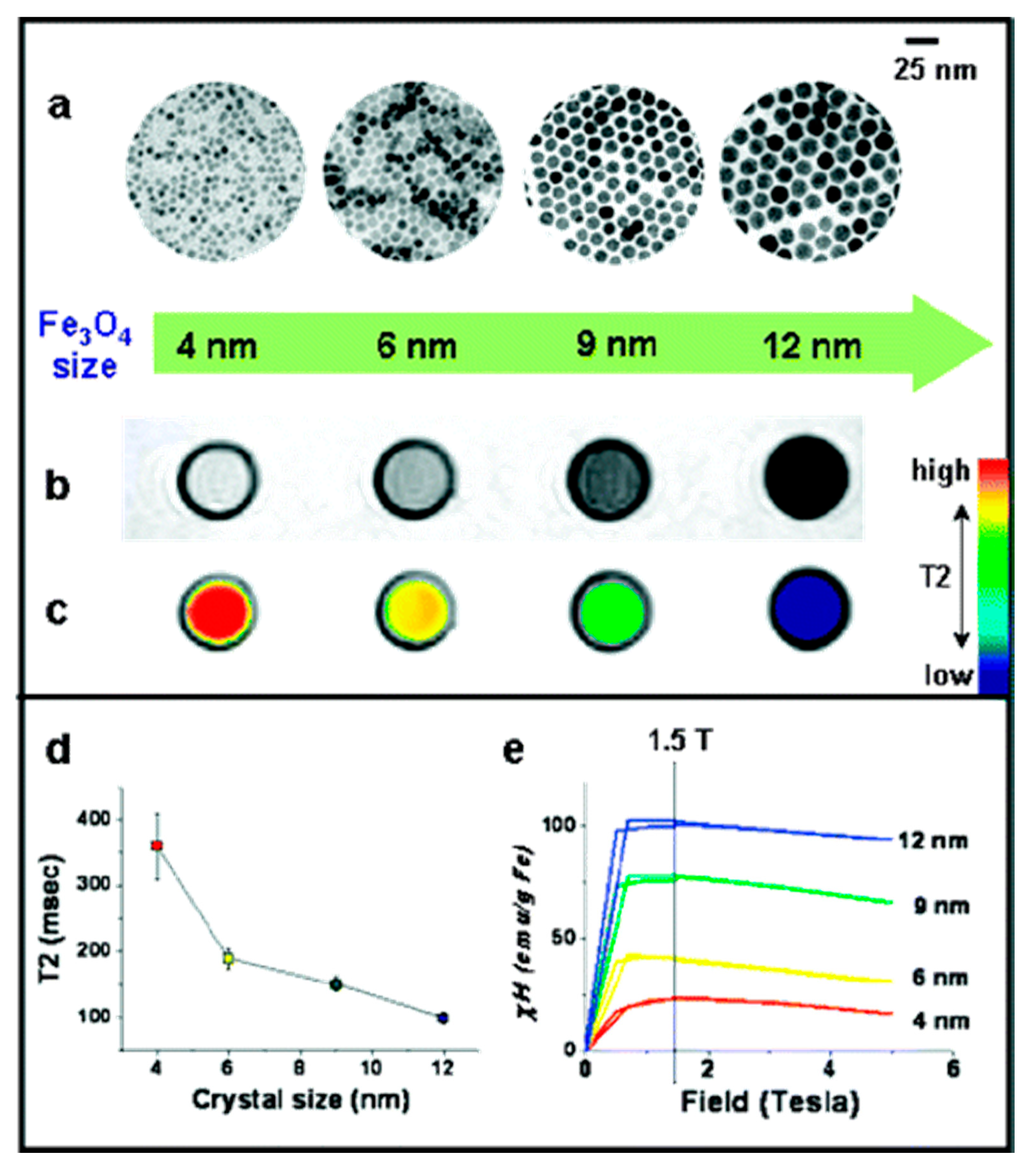 Nanomaterials | Free Full-Text | Surface Modification of Iron 