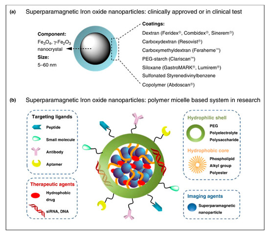 Nanomaterials | Free Full-Text | Surface Modification of Iron 
