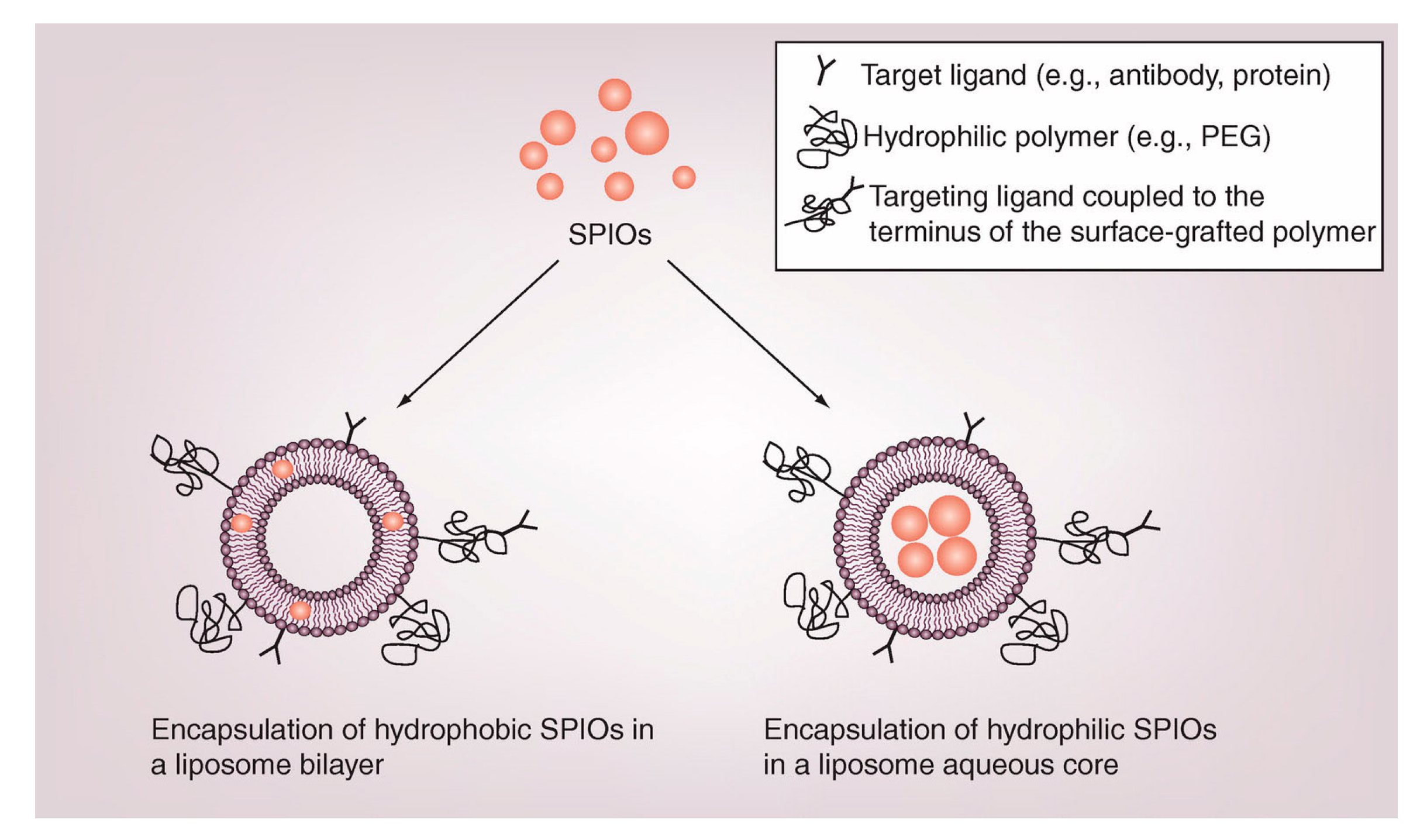 Nanomaterials | Free Full-Text | Surface Modification of Iron 