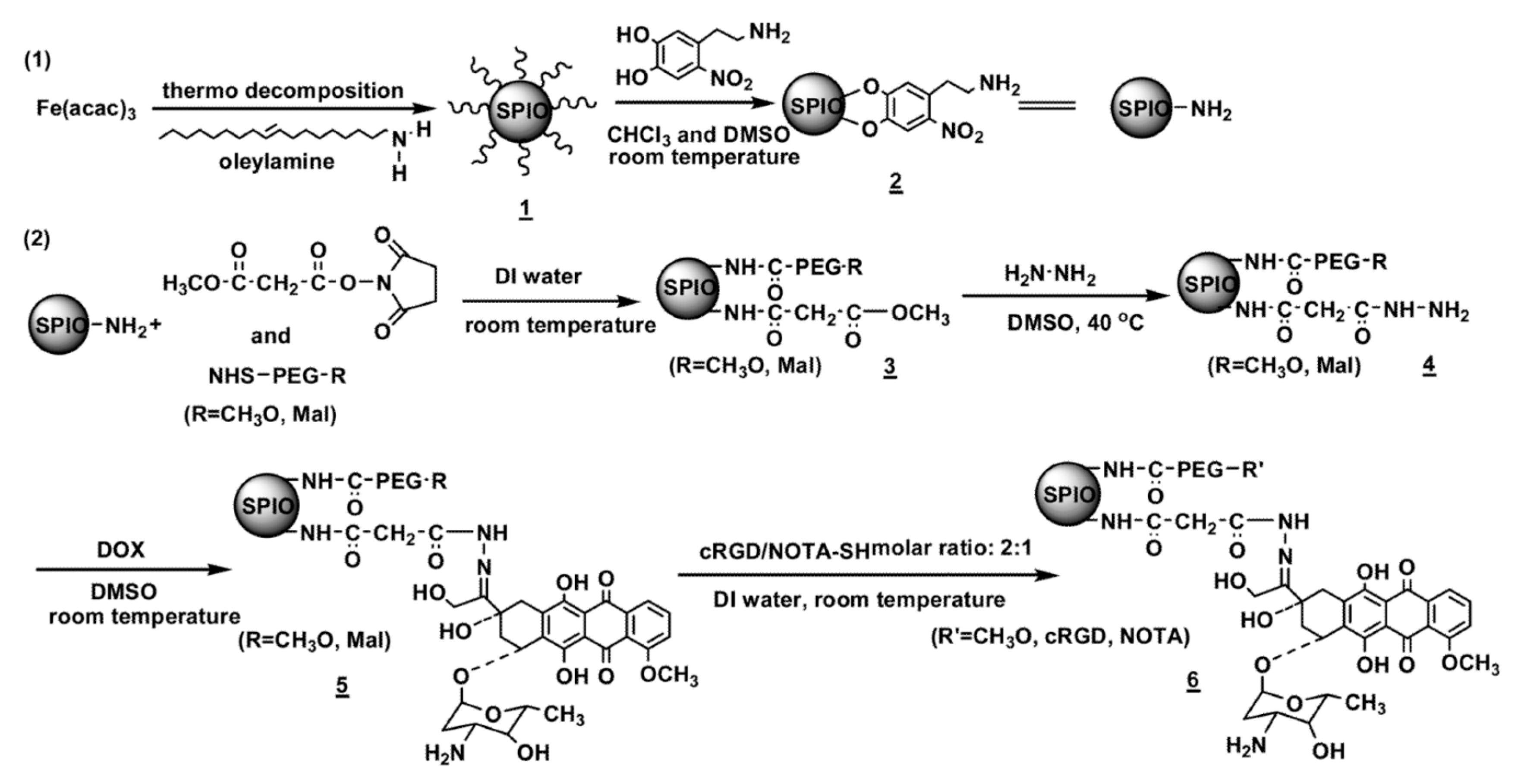 Nanomaterials 10 01441 sch001 Nanomaterials 10 01441 sch001