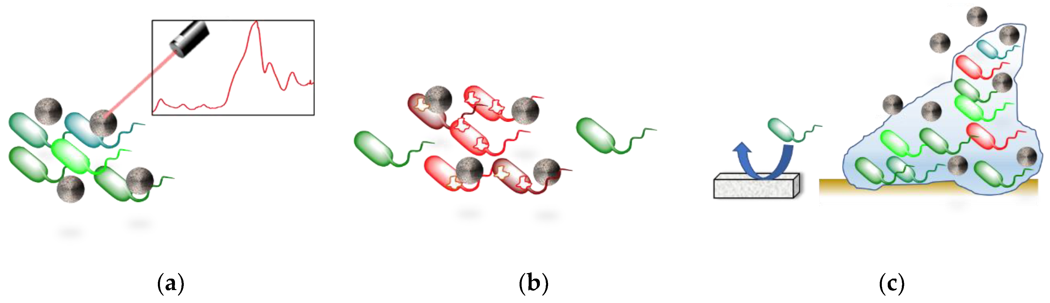 Nanomaterials 10 01443 g004 Nanomaterials 10 01443 g004