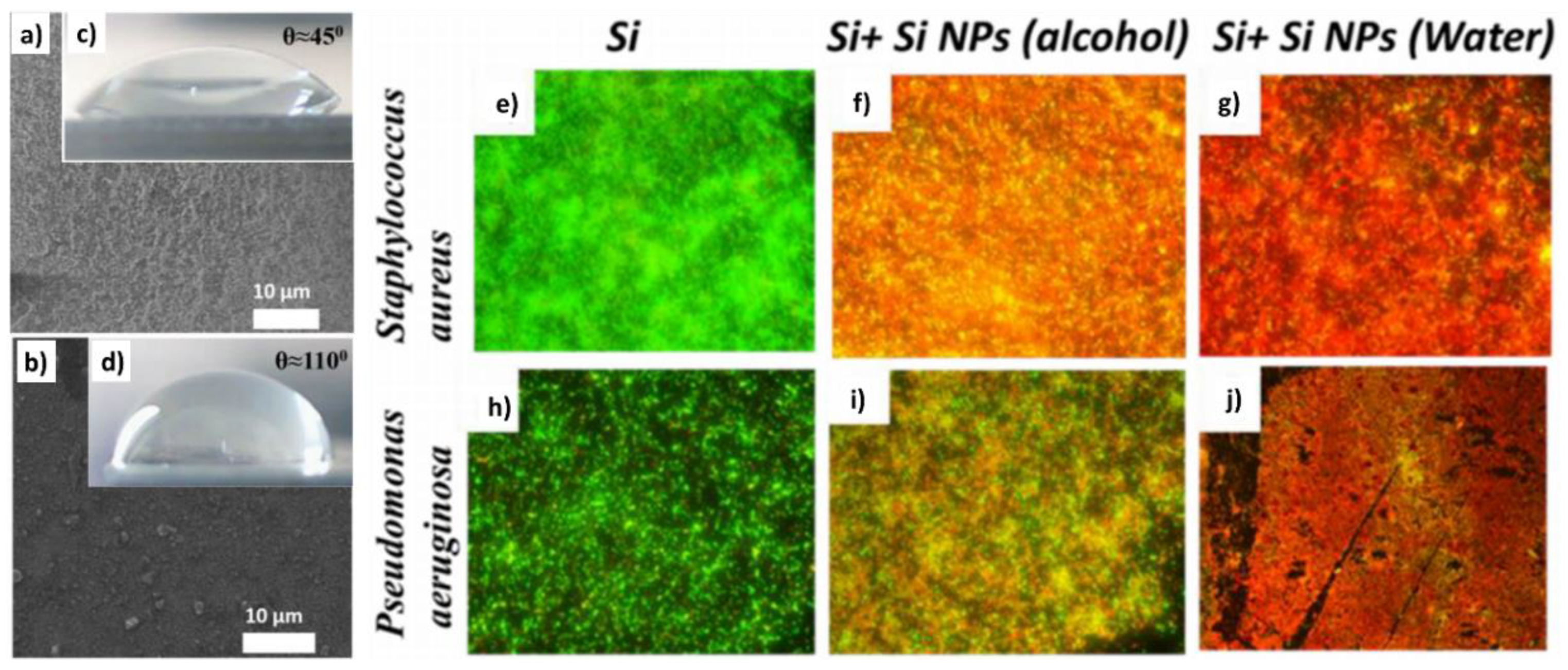Nanomaterials 10 01443 g005 Nanomaterials 10 01443 g005