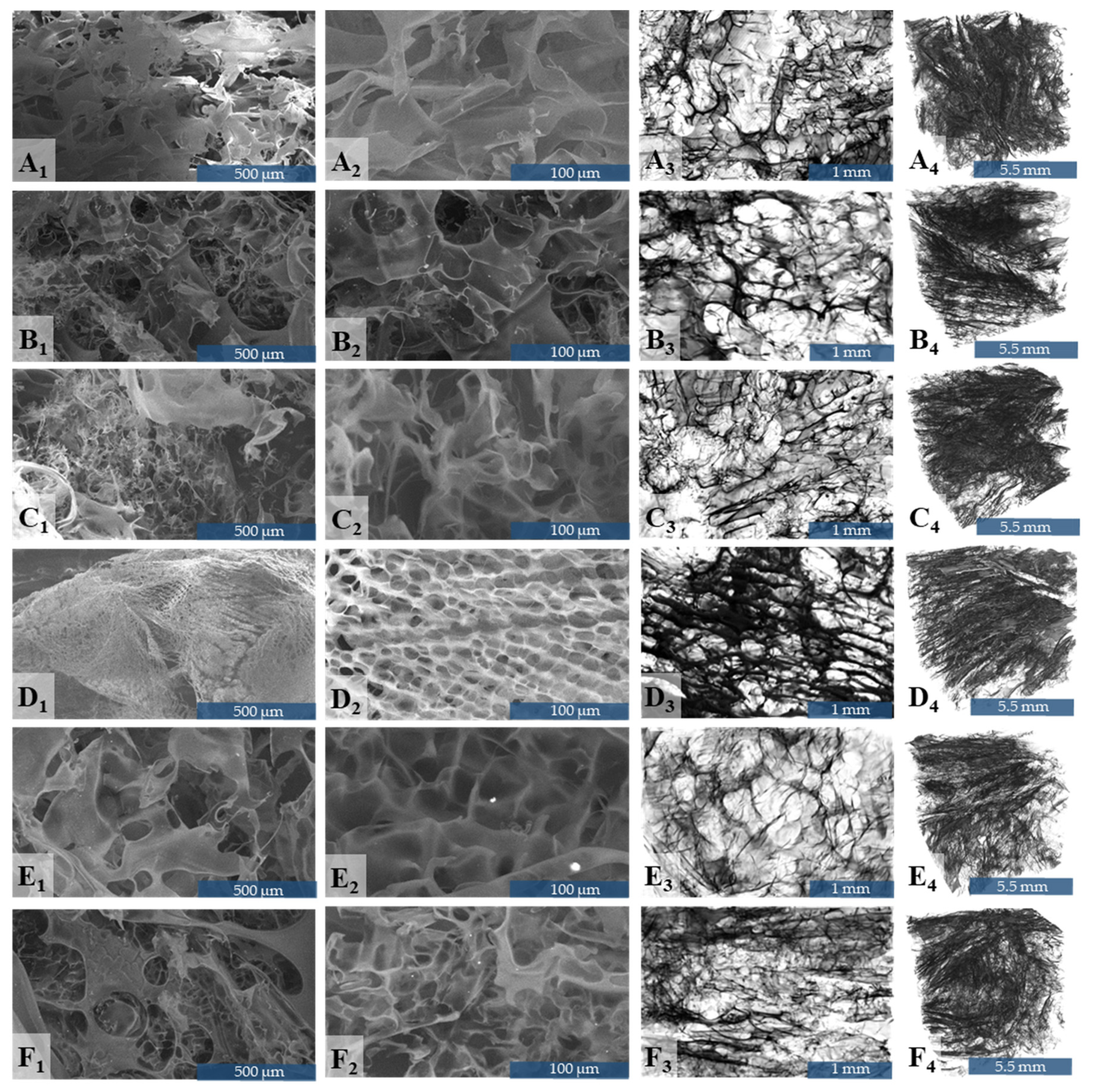 Nanomaterials 10 01444 g003