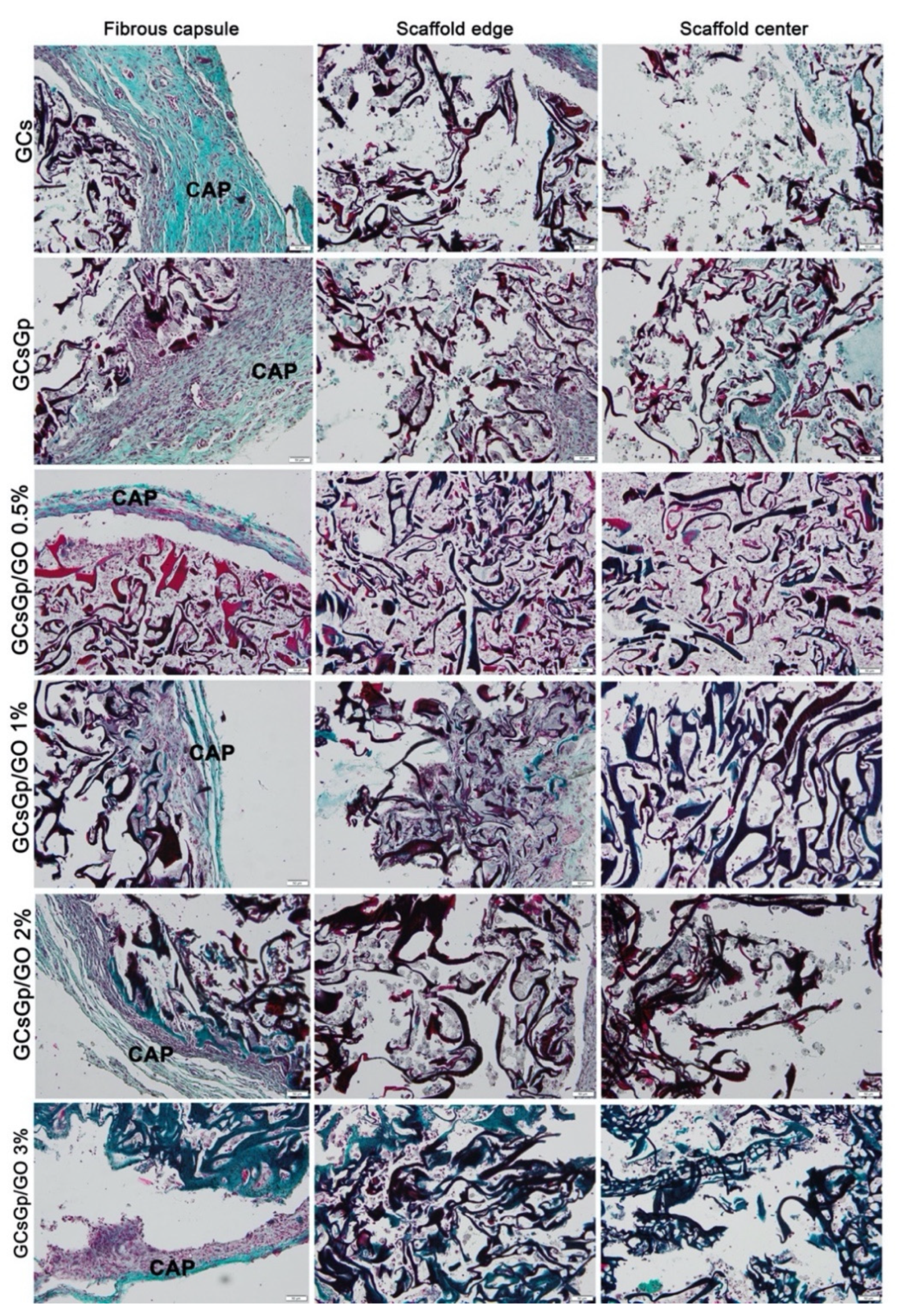 Nanomaterials 10 01444 g008