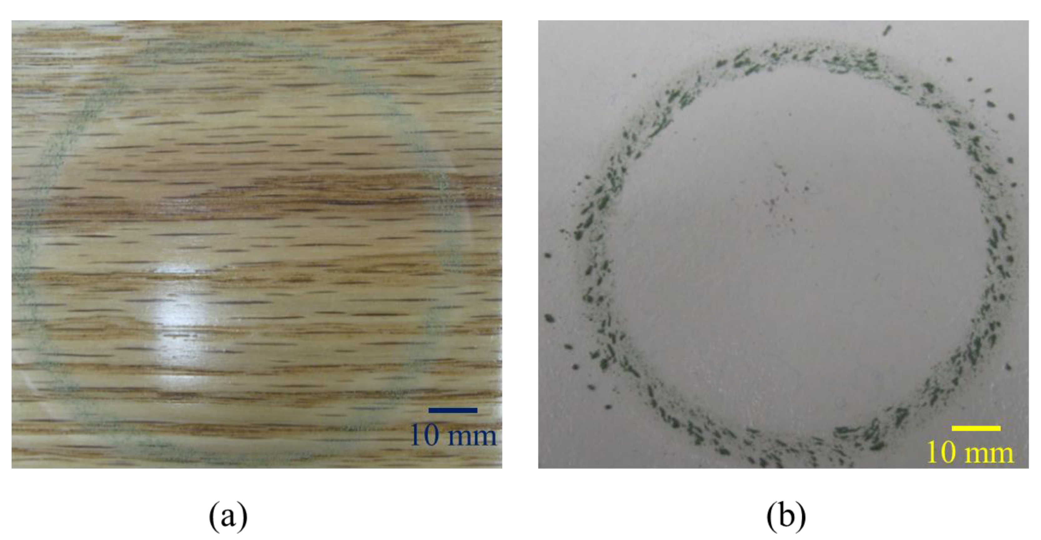 Nanomaterials 10 01445 g005 Nanomaterials 10 01445 g005