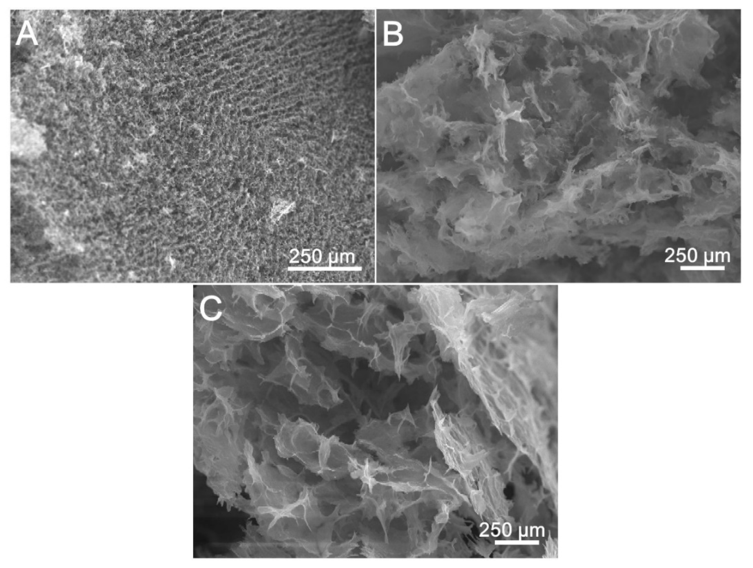 Nanomaterials 10 01446 g004 Nanomaterials 10 01446 g004