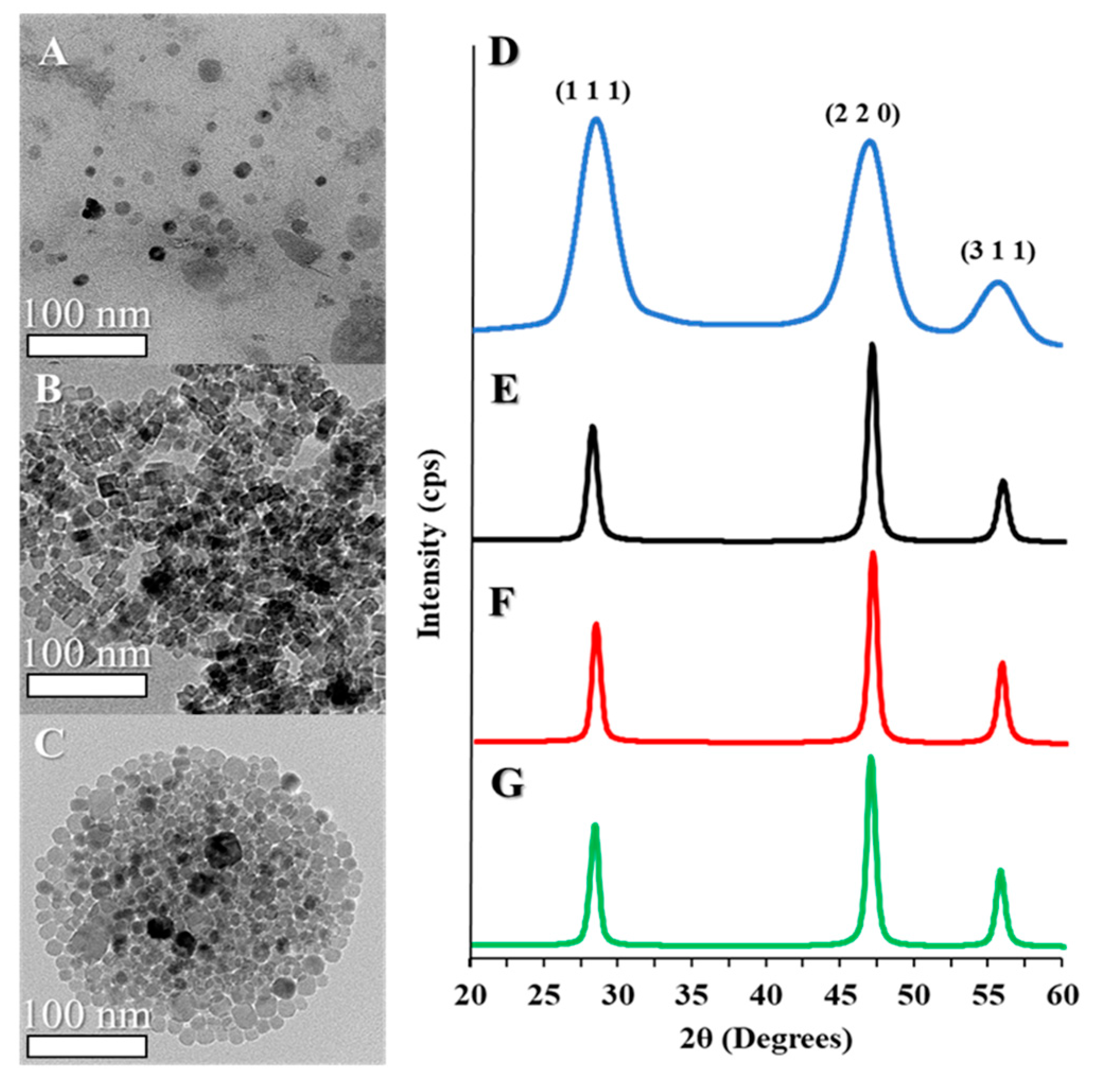 Nanomaterials 10 01447 g001