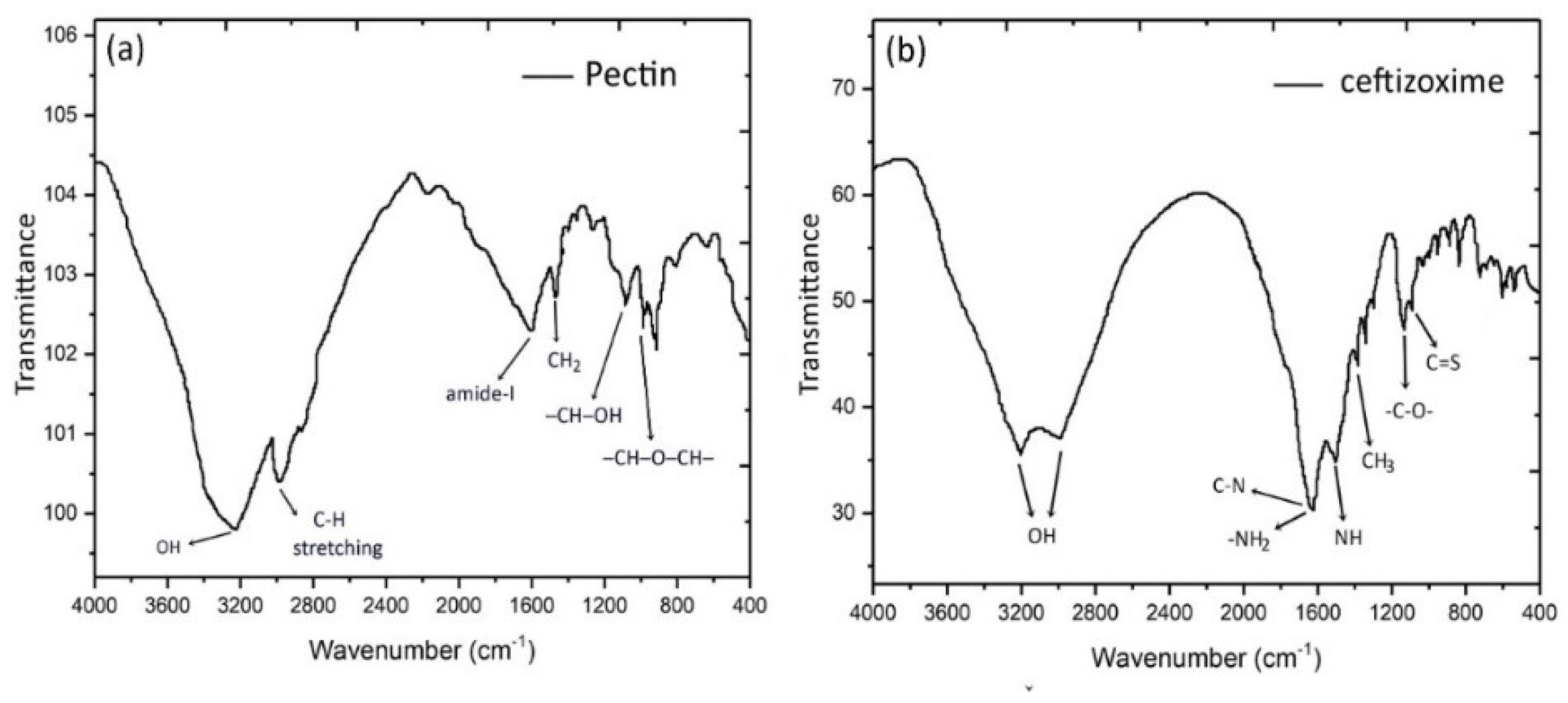 Nanomaterials 10 01452 g003