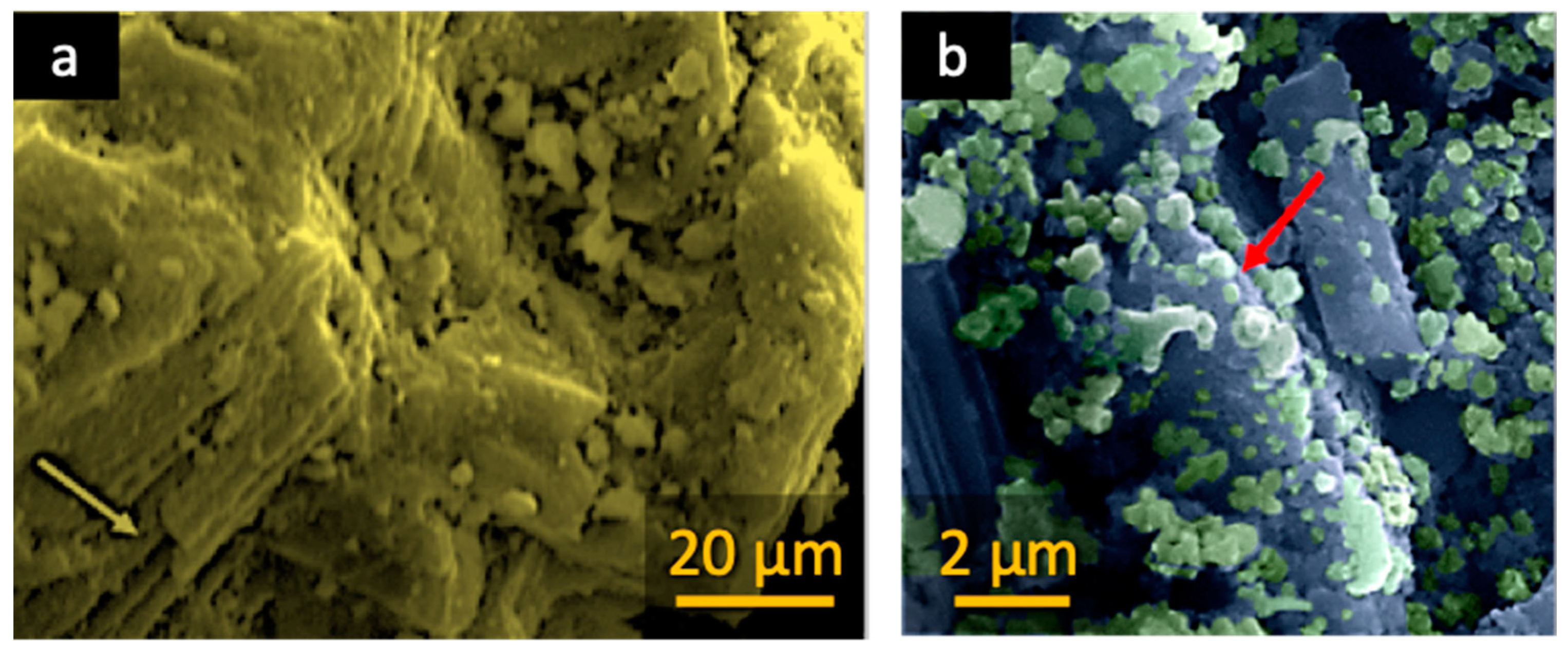 Nanomaterials 10 01454 g002a