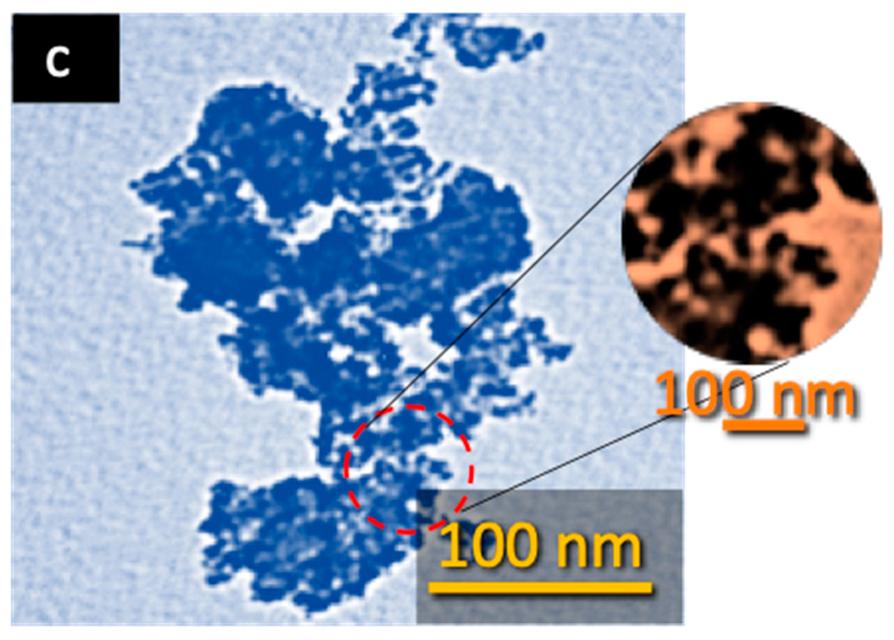 Nanomaterials 10 01454 g002b