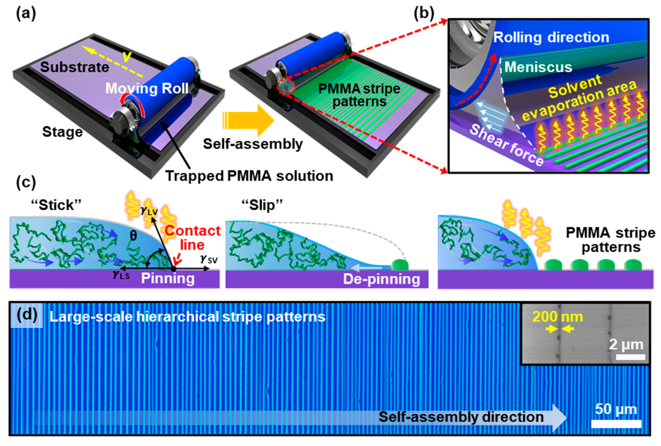 Nanomaterials 10 01468 g001 Nanomaterials 10 01468 g001