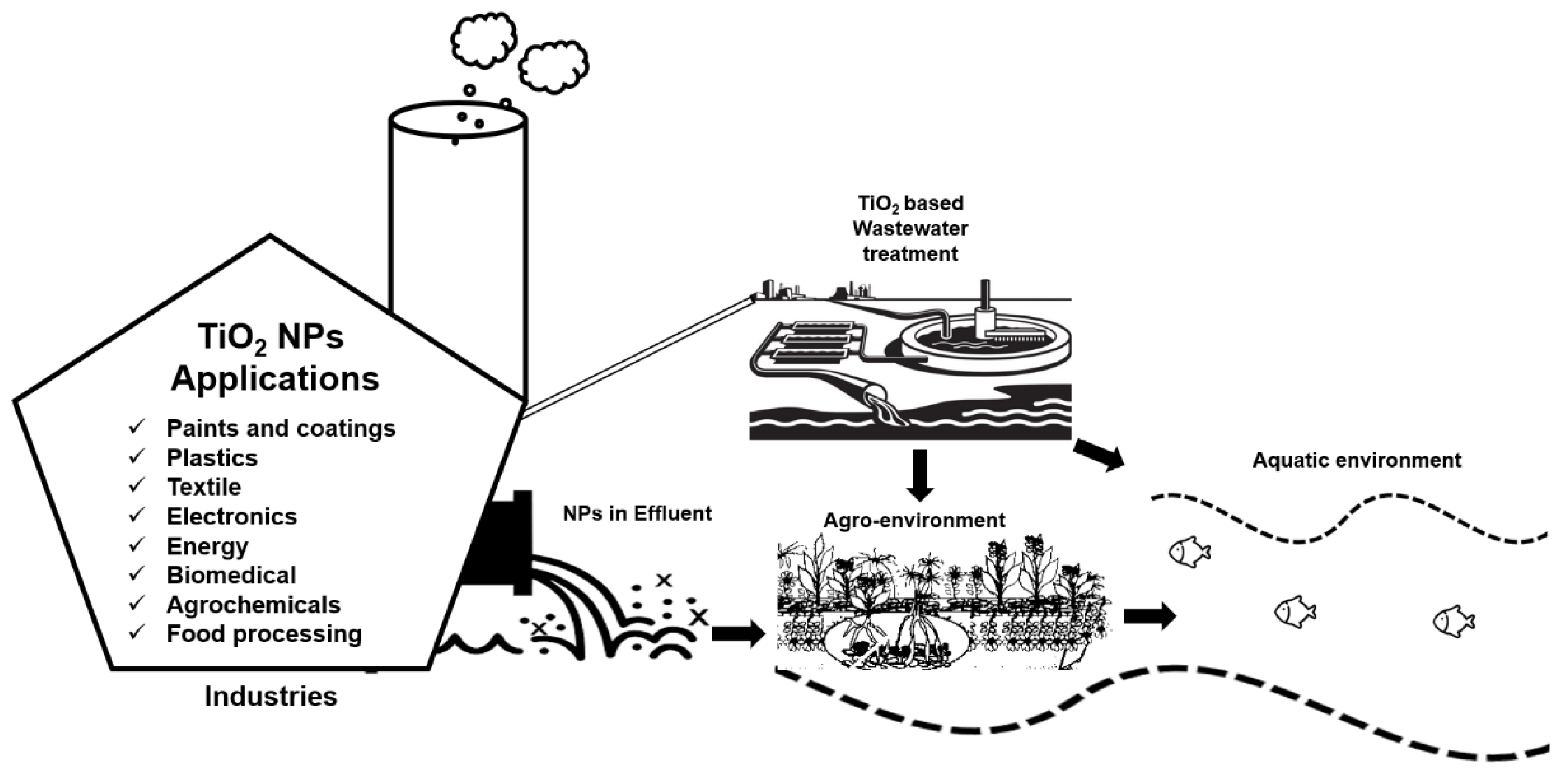 Nanomaterials 10 01469 g001