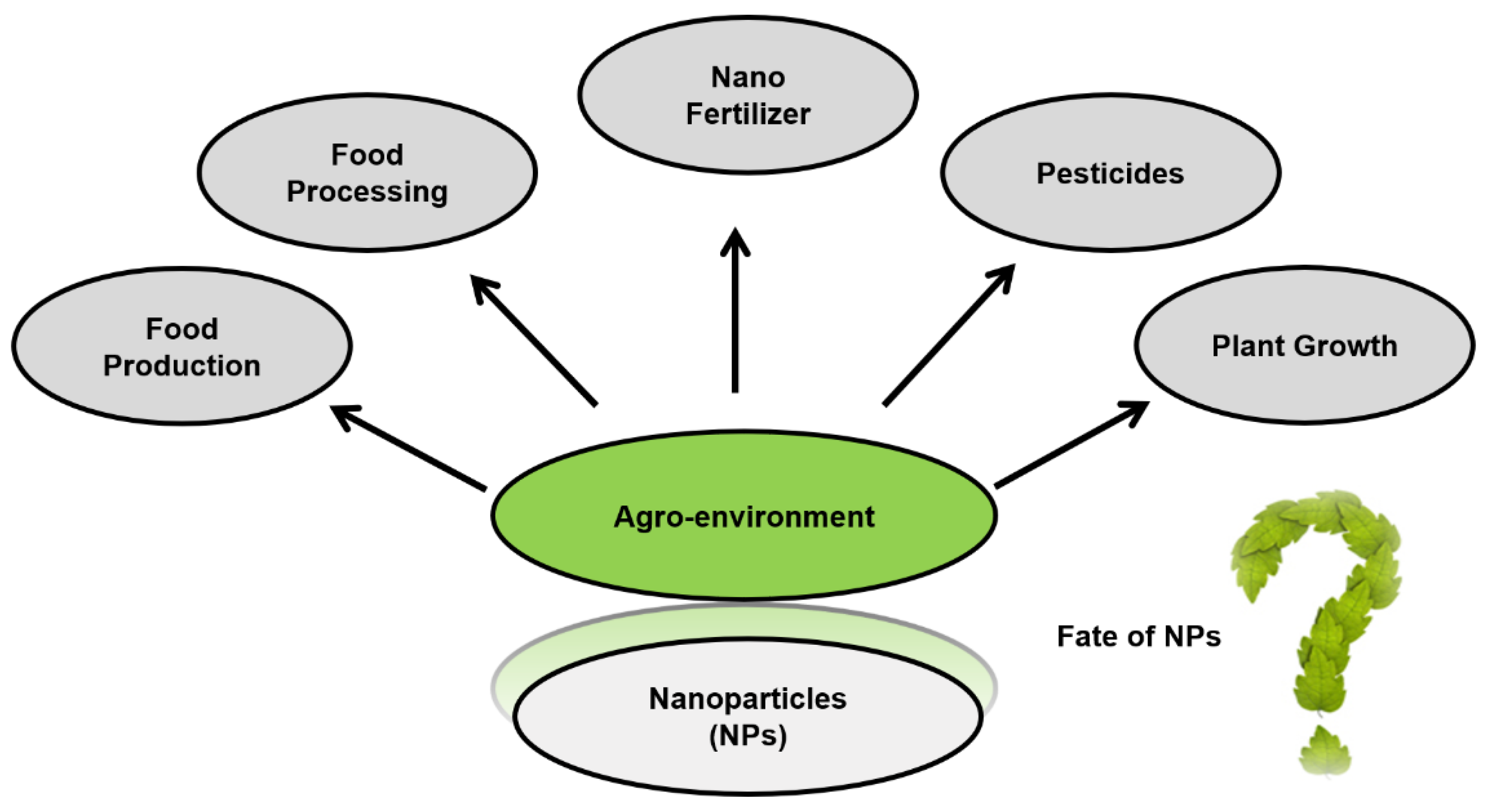 Nanomaterials 10 01469 g003 Nanomaterials 10 01469 g003