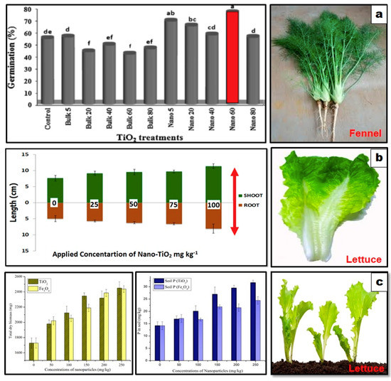 Nanomaterials 10 01469 g004 550