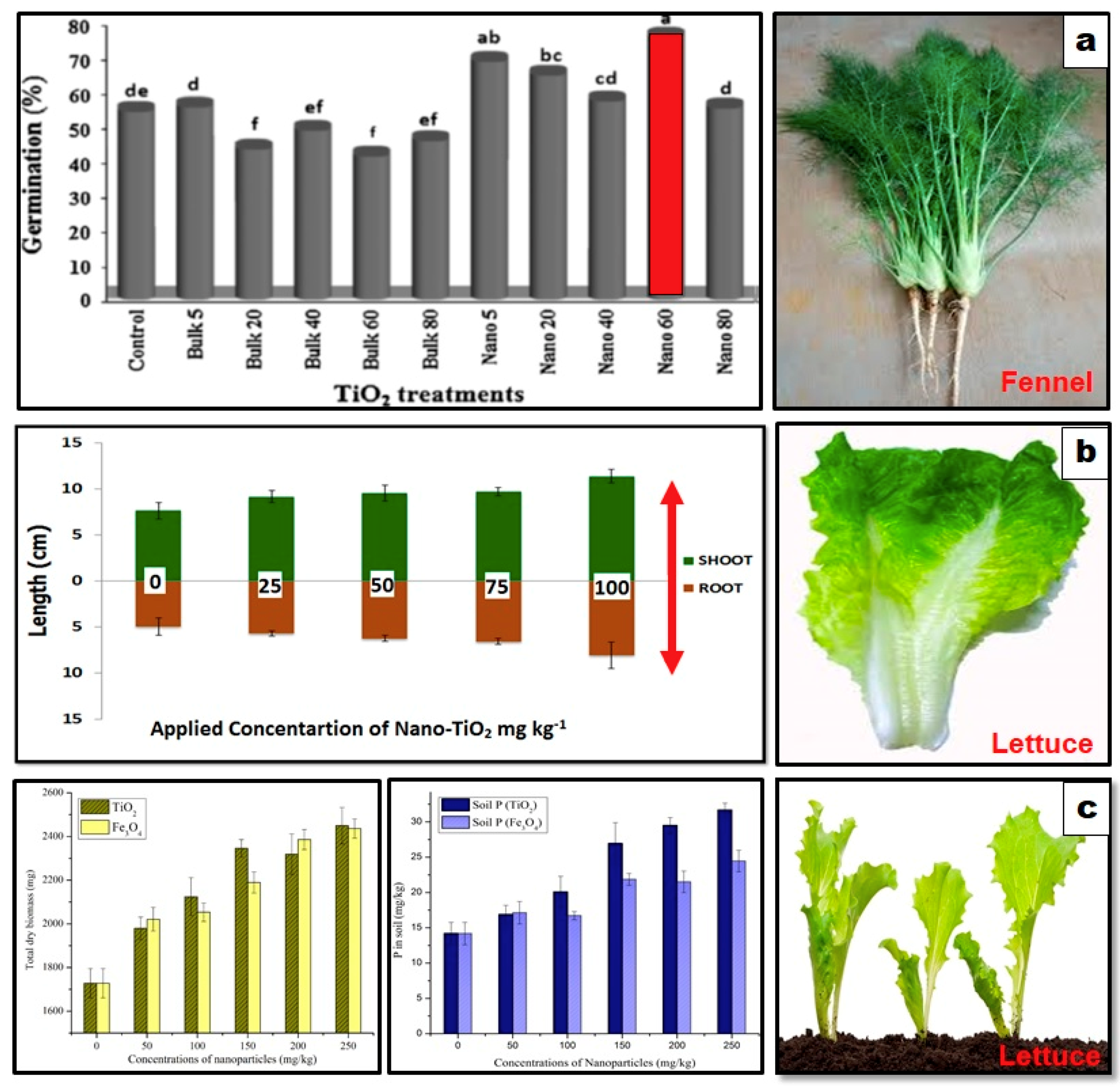Nanomaterials 10 01469 g004 Nanomaterials 10 01469 g004