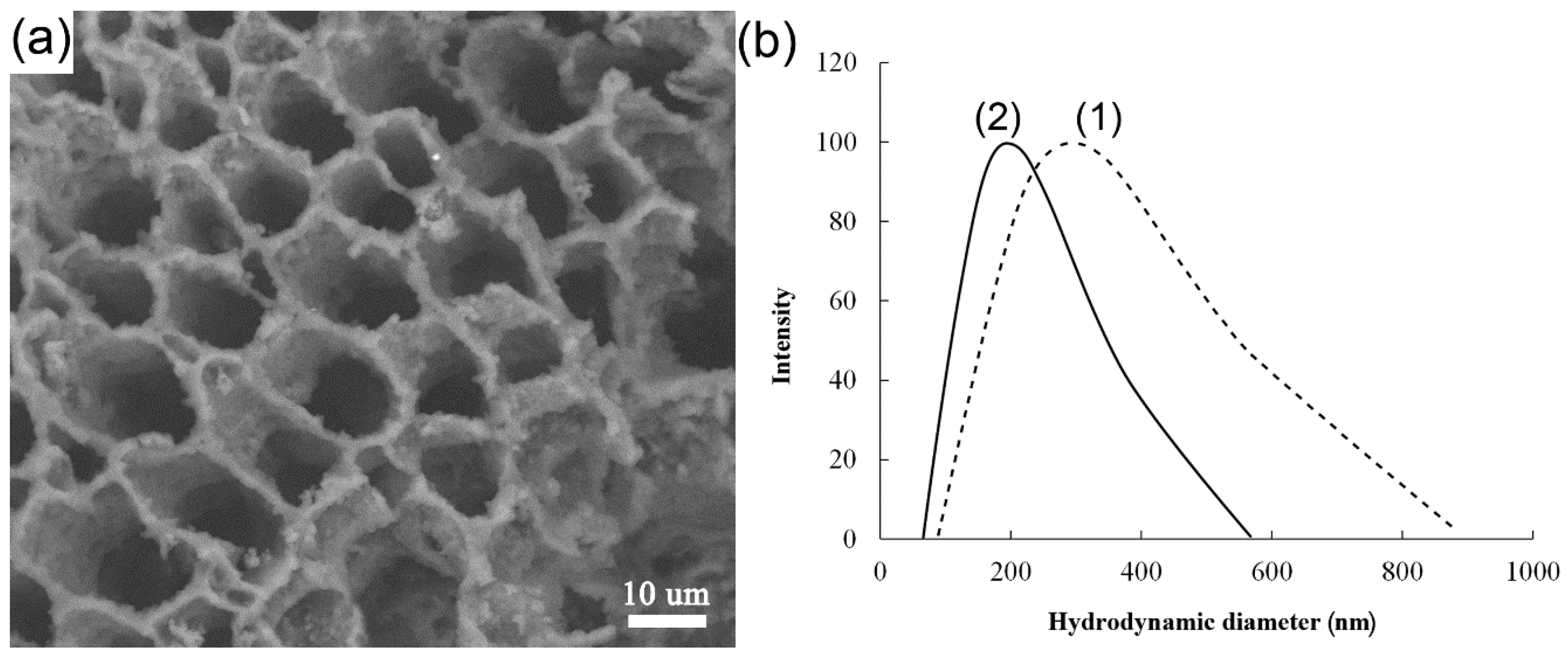 Nanomaterials 10 01477 g001 Nanomaterials 10 01477 g001