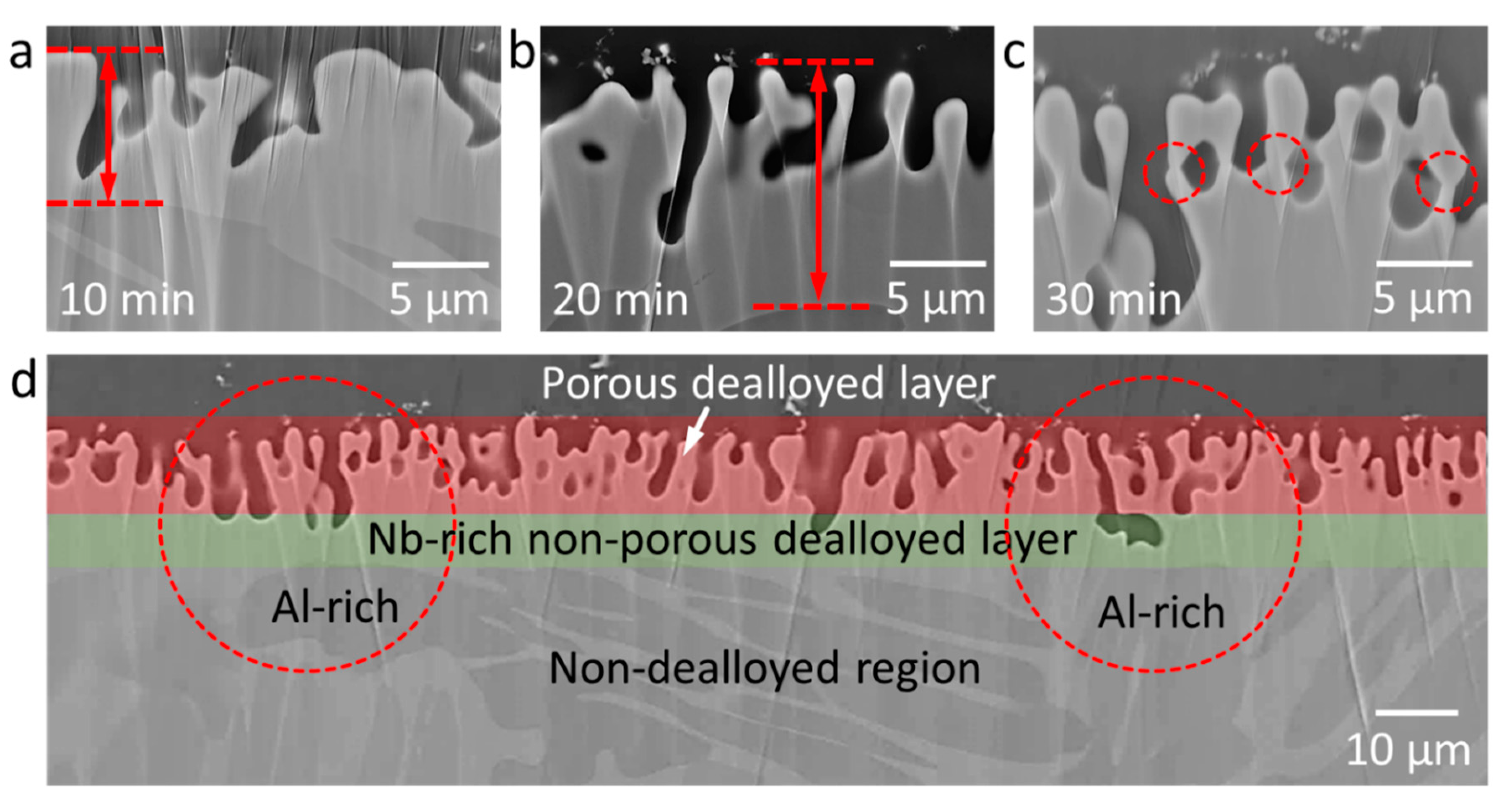 Nanomaterials 10 01479 g003 Nanomaterials 10 01479 g003