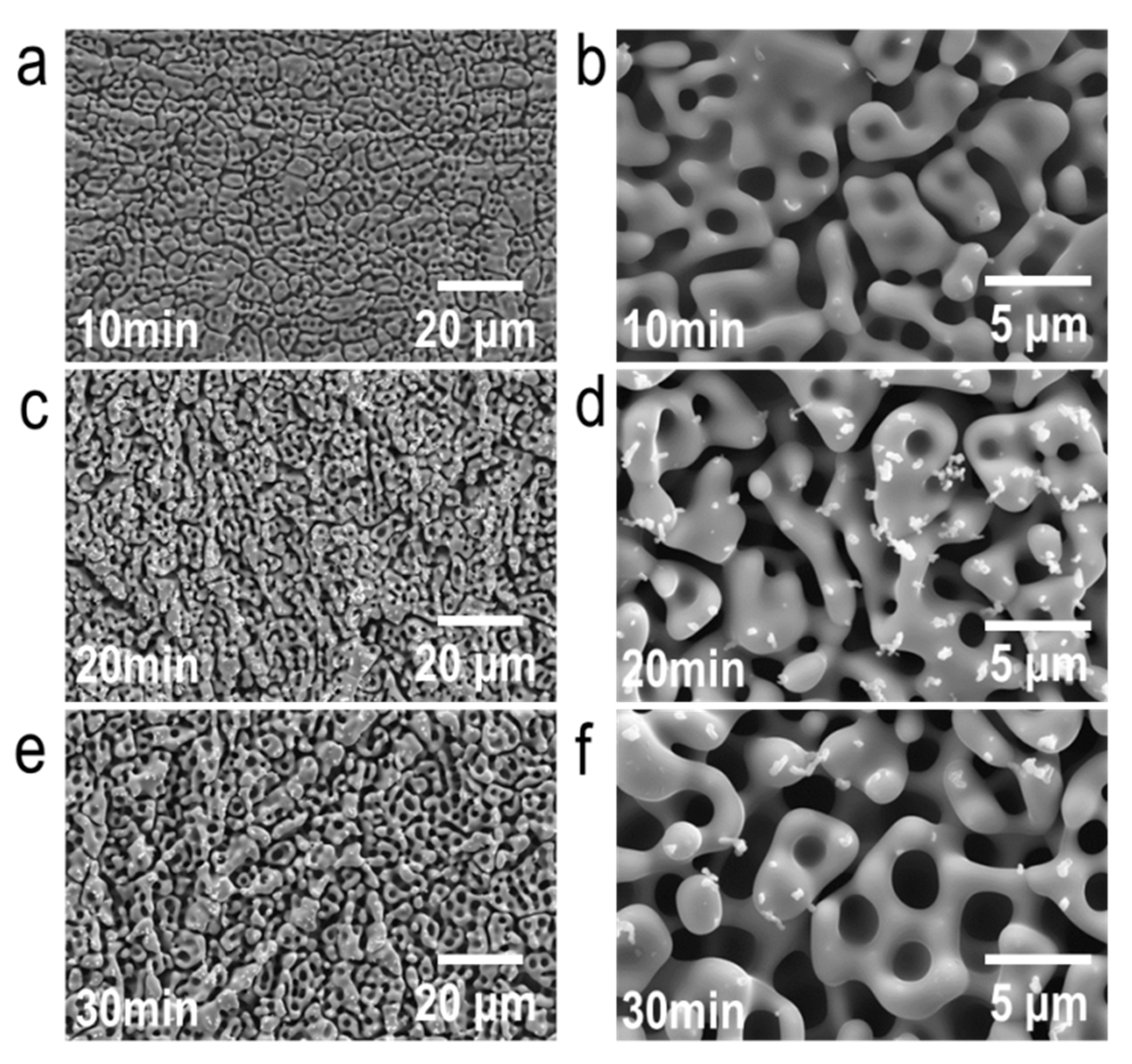 Nanomaterials 10 01479 g004 Nanomaterials 10 01479 g004