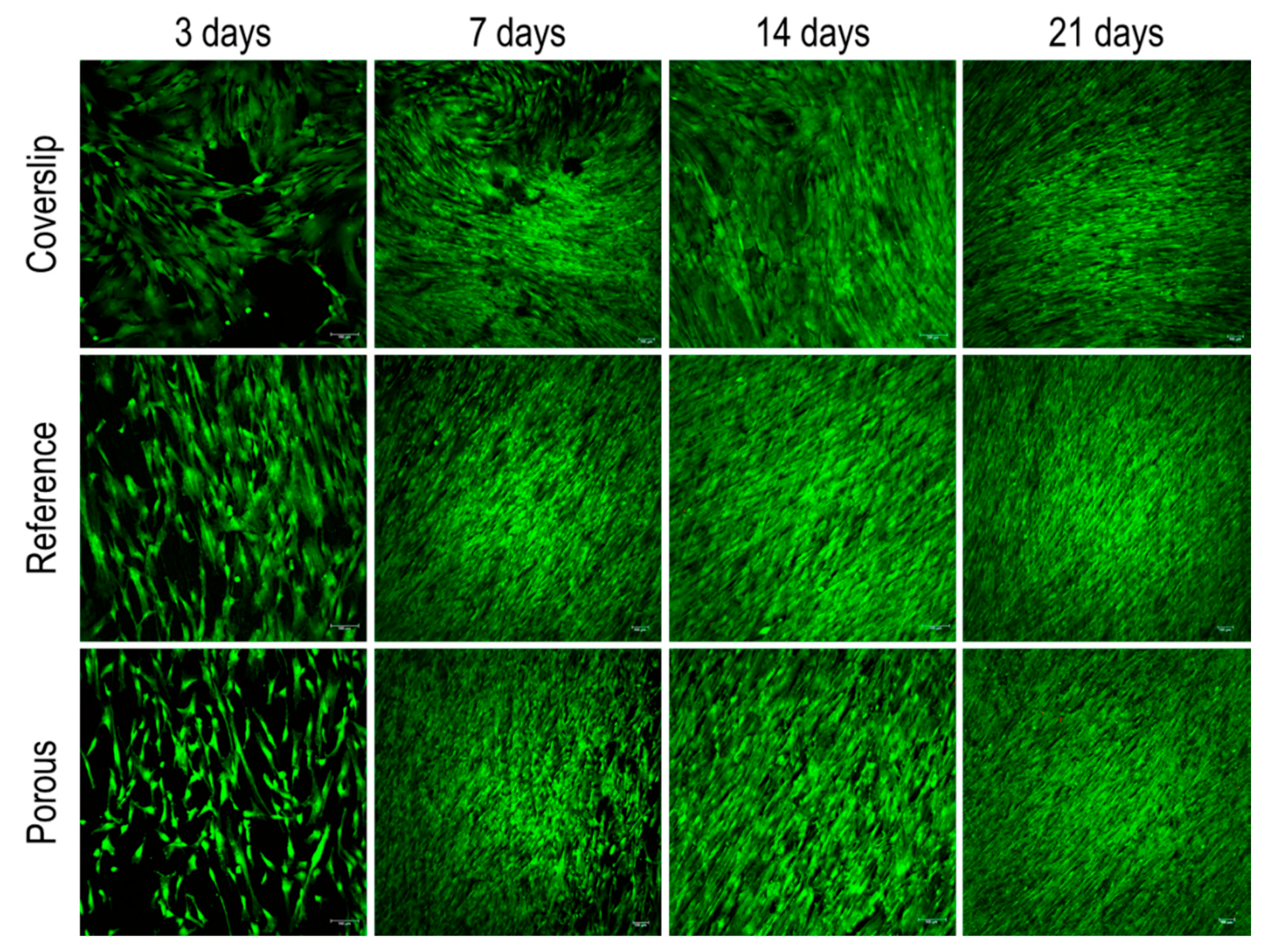 Nanomaterials 10 01479 g008 Nanomaterials 10 01479 g008