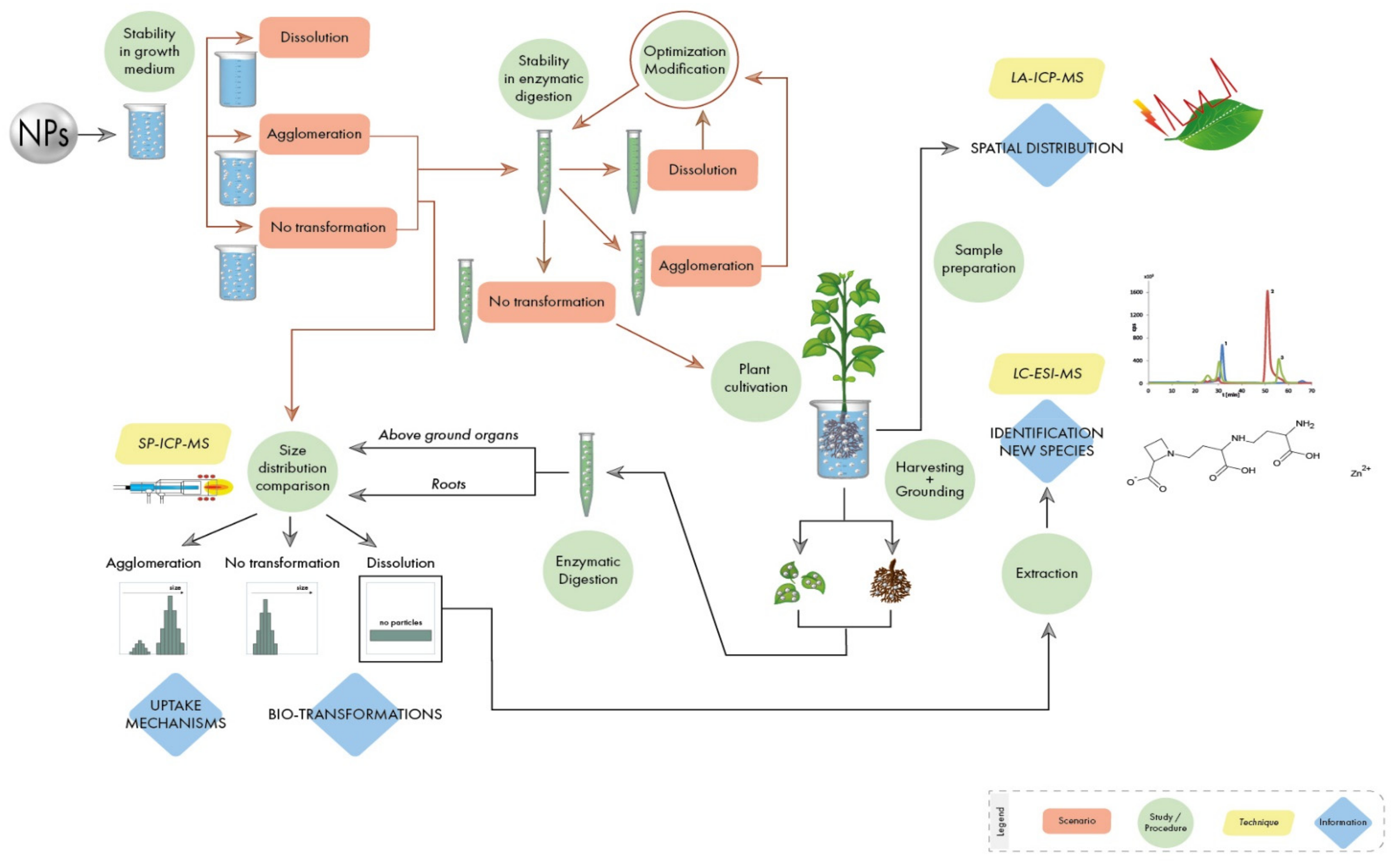 Nanomaterials 10 01480 g001