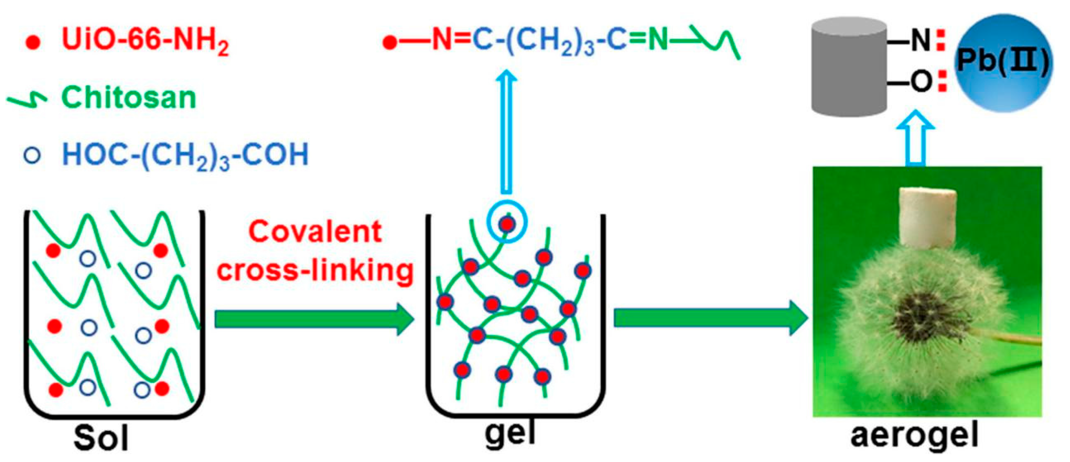 Nanomaterials 10 01481 g006