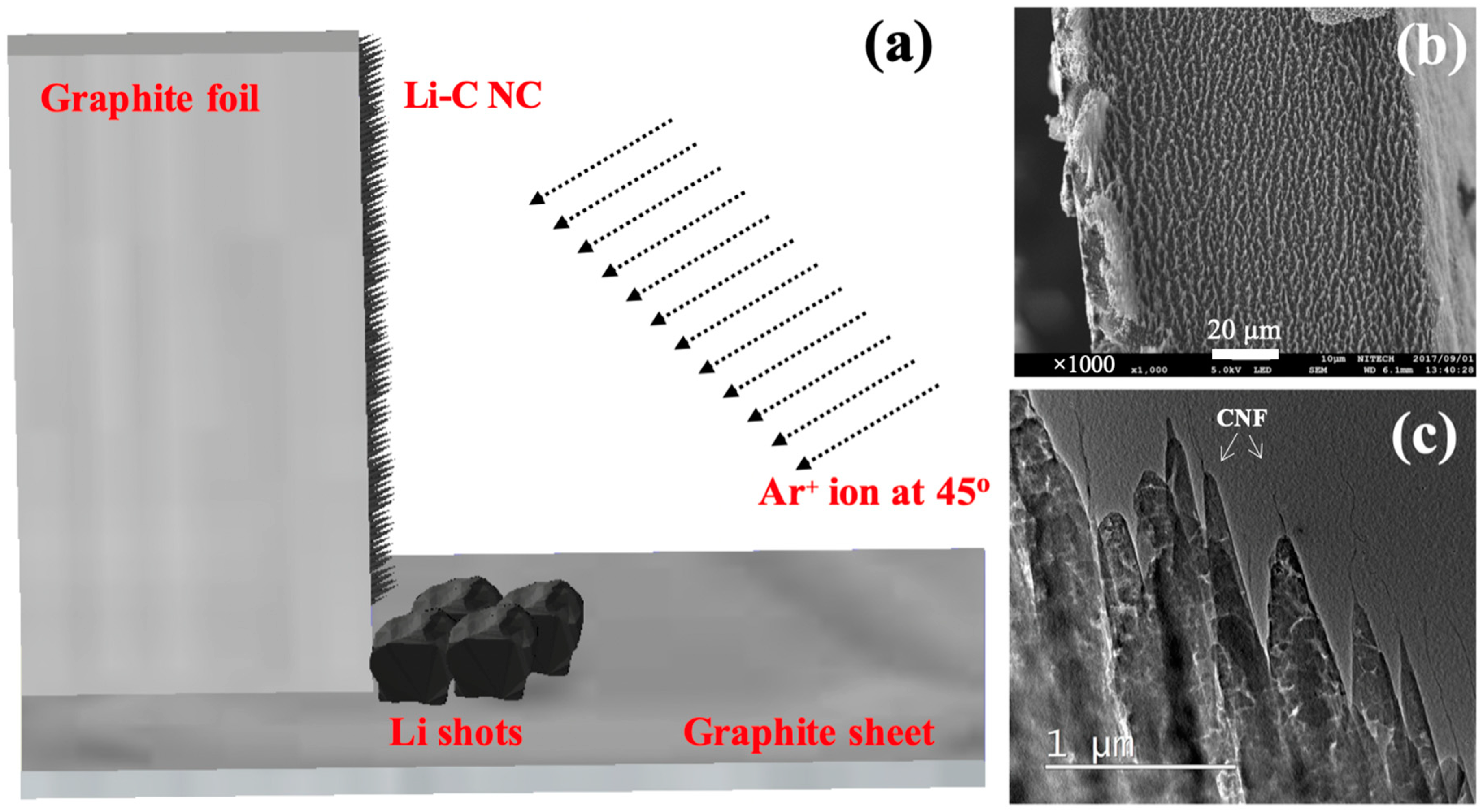 Nanomaterials 10 01483 g001