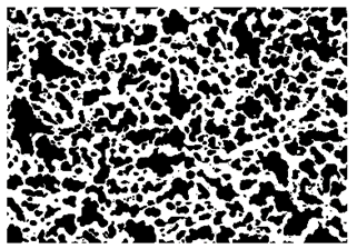 Nanomaterials 10 01489 i003