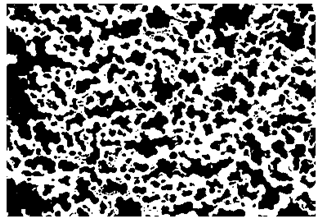 Nanomaterials 10 01489 i004