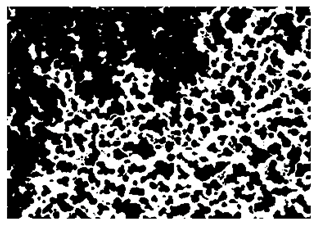 Nanomaterials 10 01489 i005