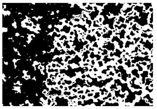 Nanomaterials 10 01489 i007