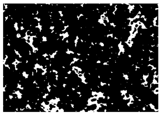 Nanomaterials 10 01489 i008