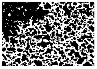 Nanomaterials 10 01489 i009